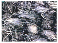 Polymers 14 02445 i012