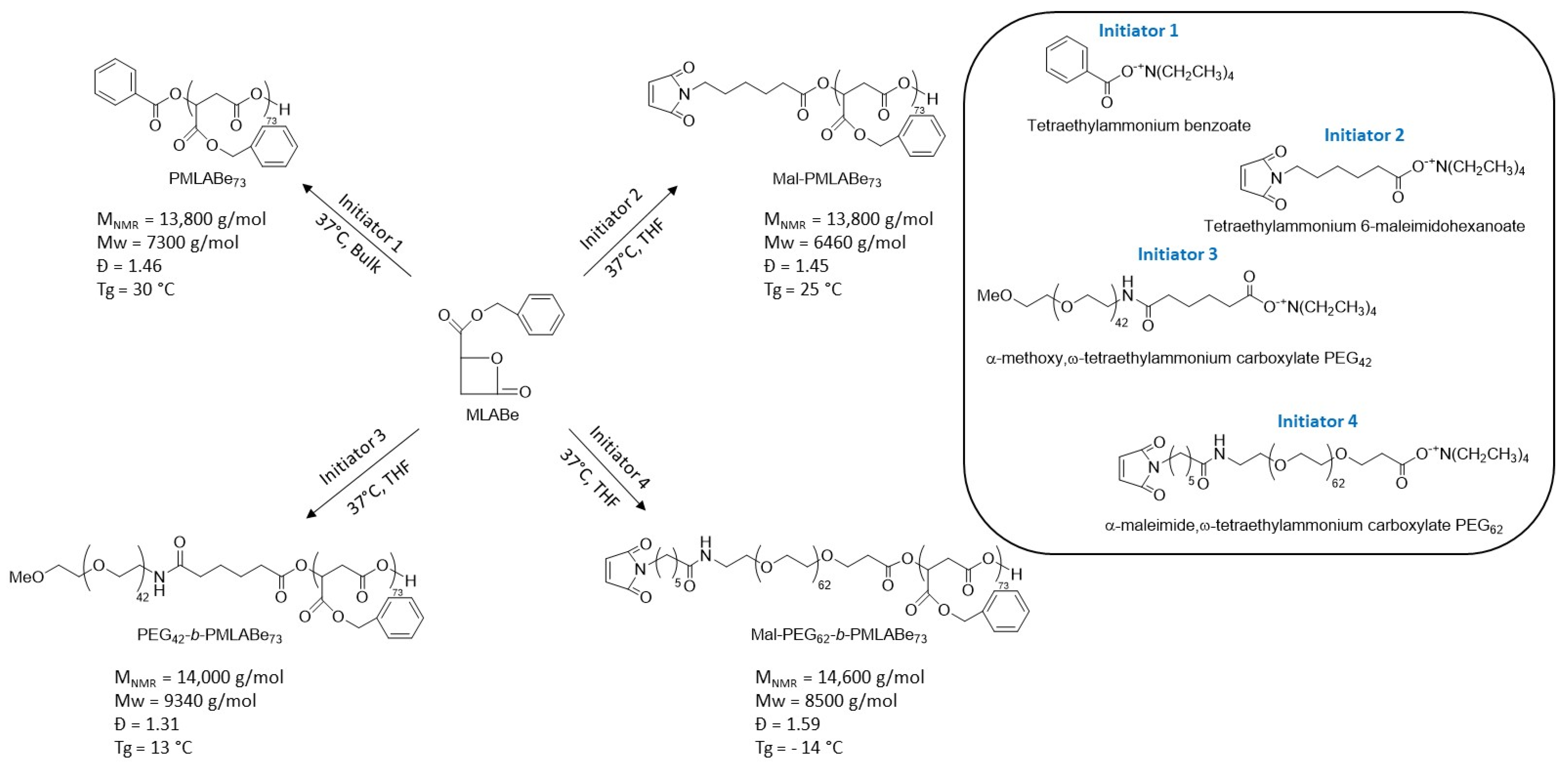 Polymers 14 02447 g001 550