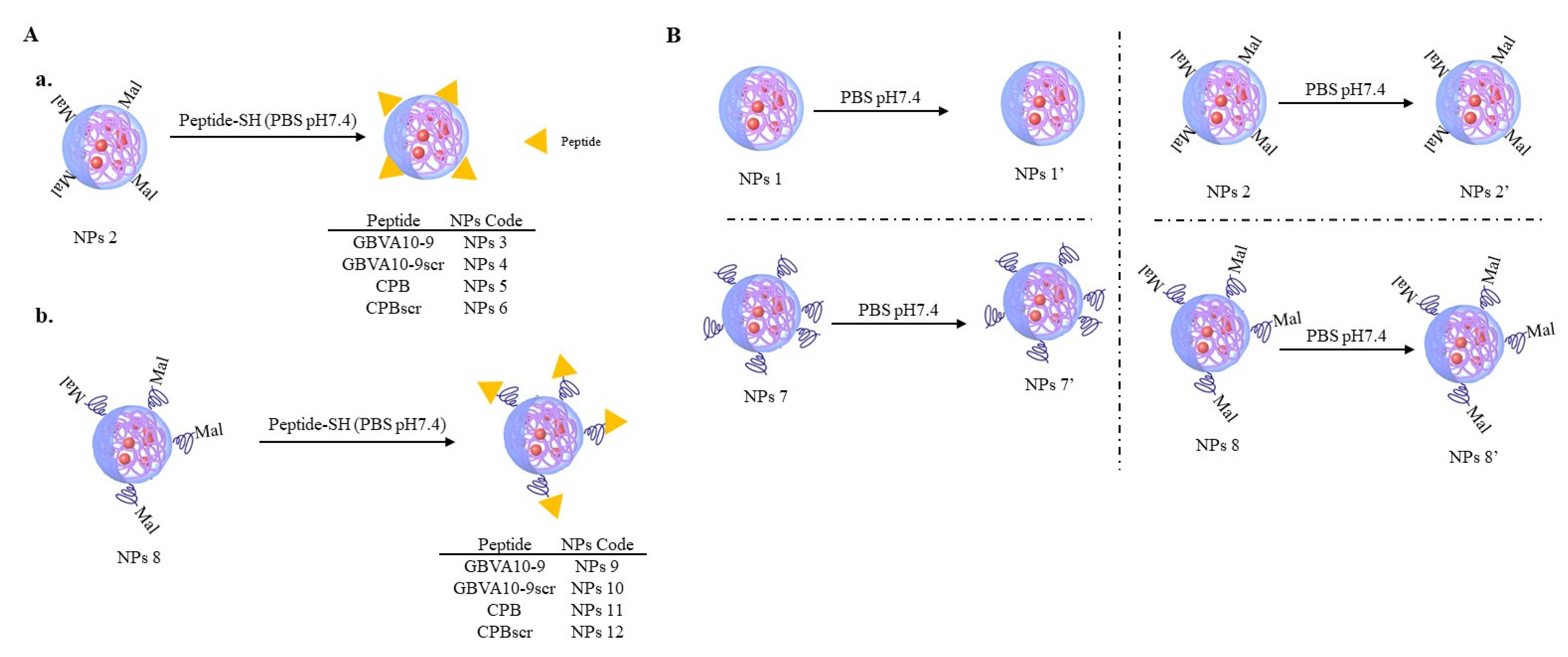 Polymers 14 02447 g003 550