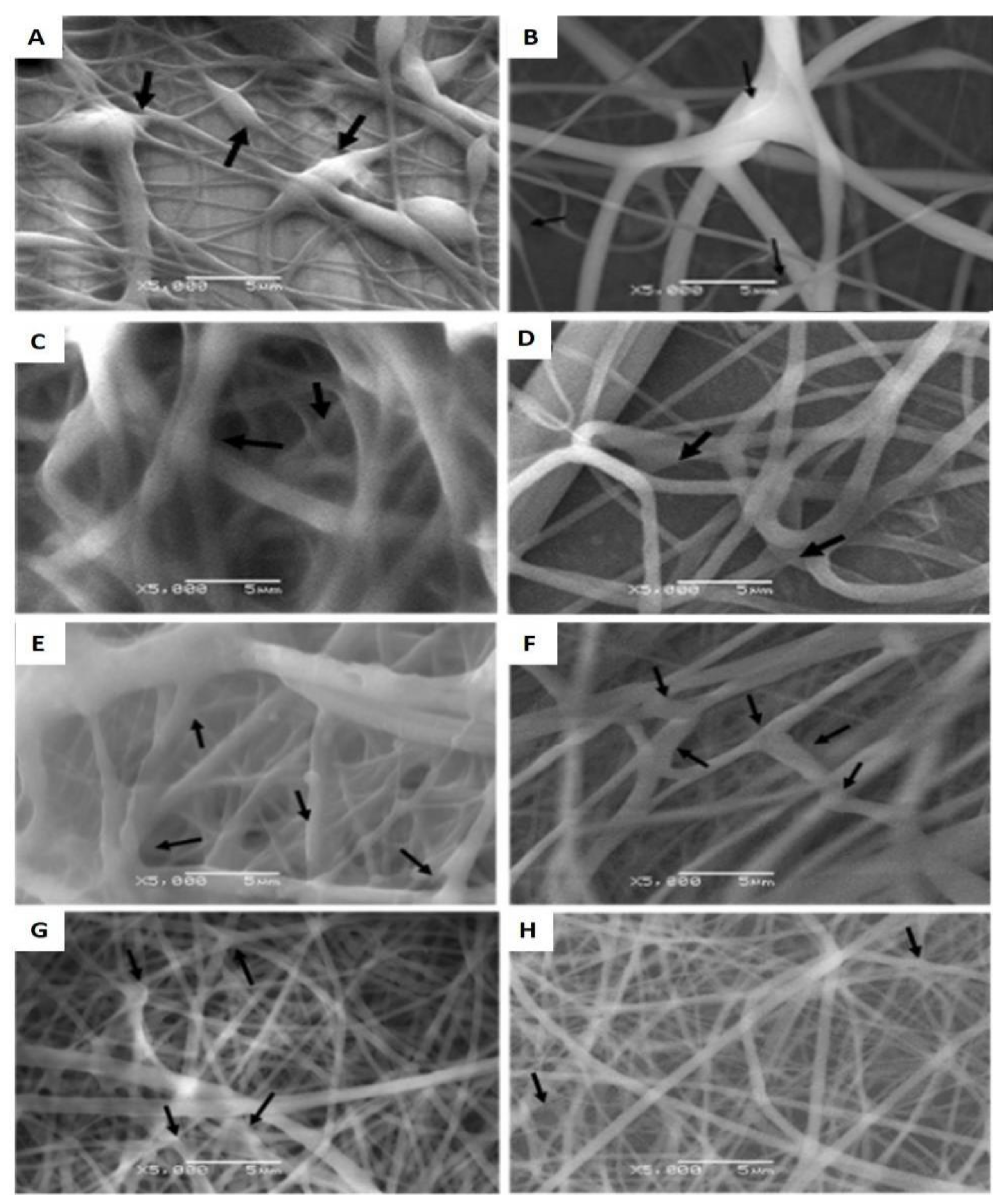 Polymers 14 02448 g003 550