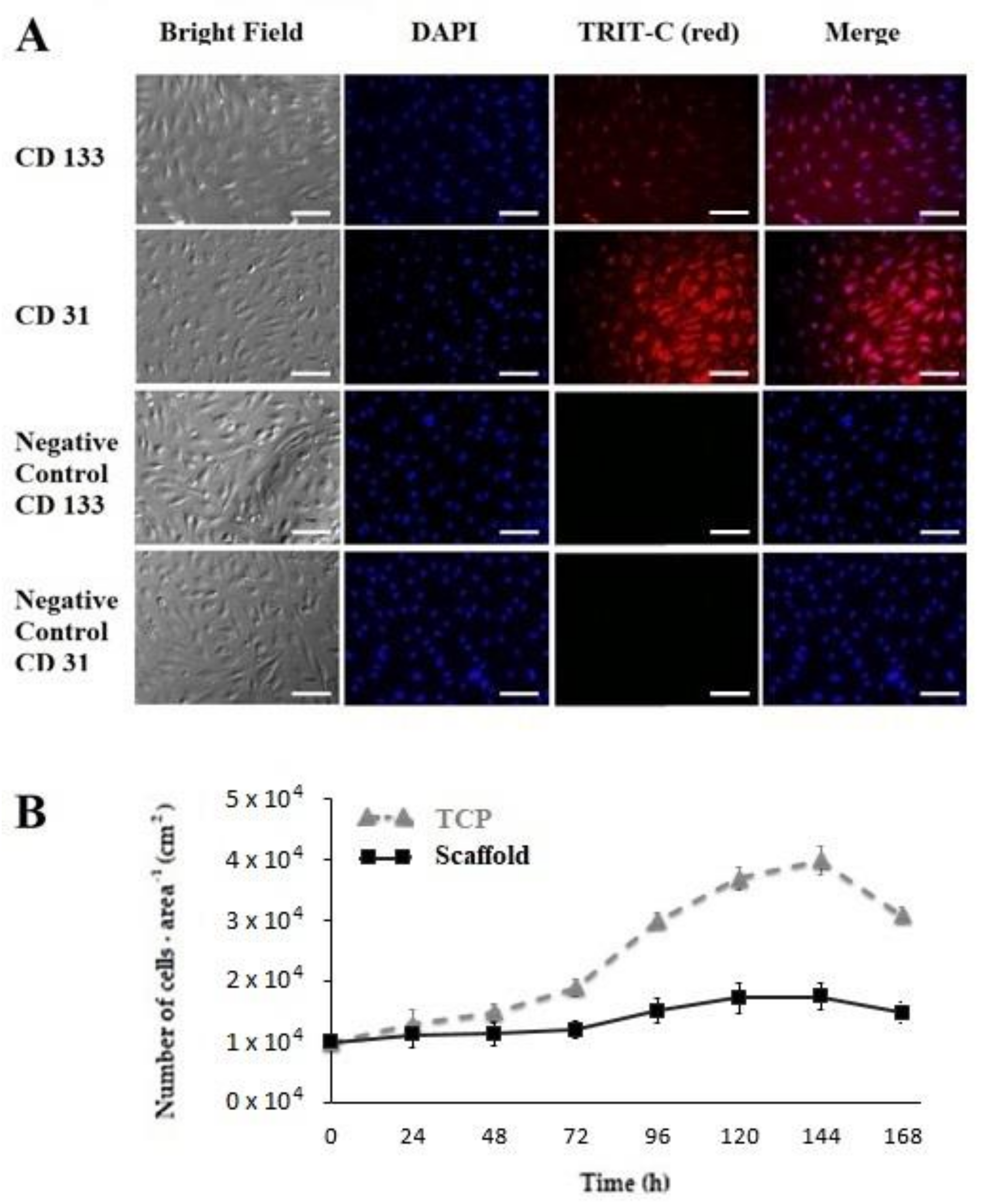 Polymers 14 02448 g004 550