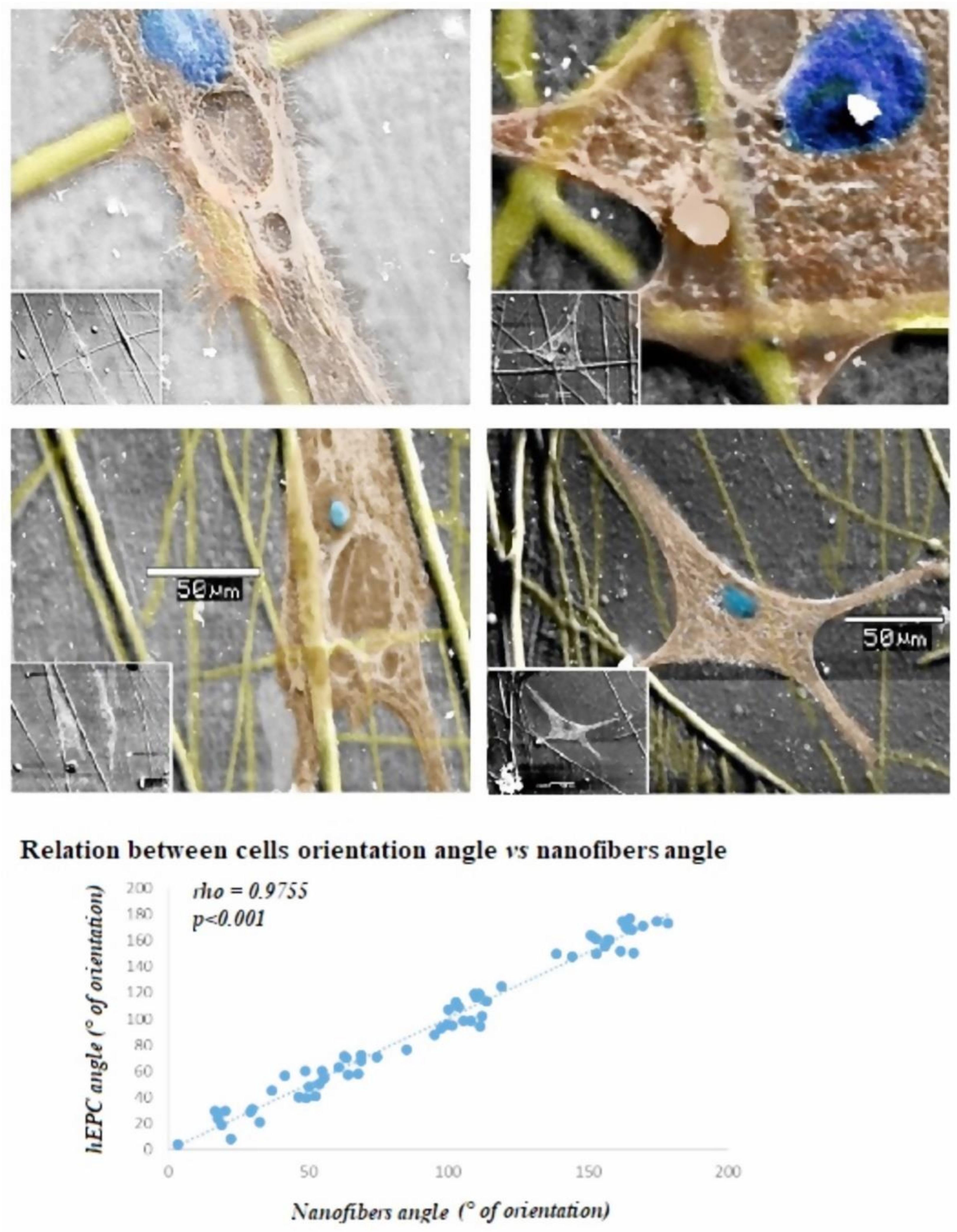 Polymers 14 02448 g005 550
