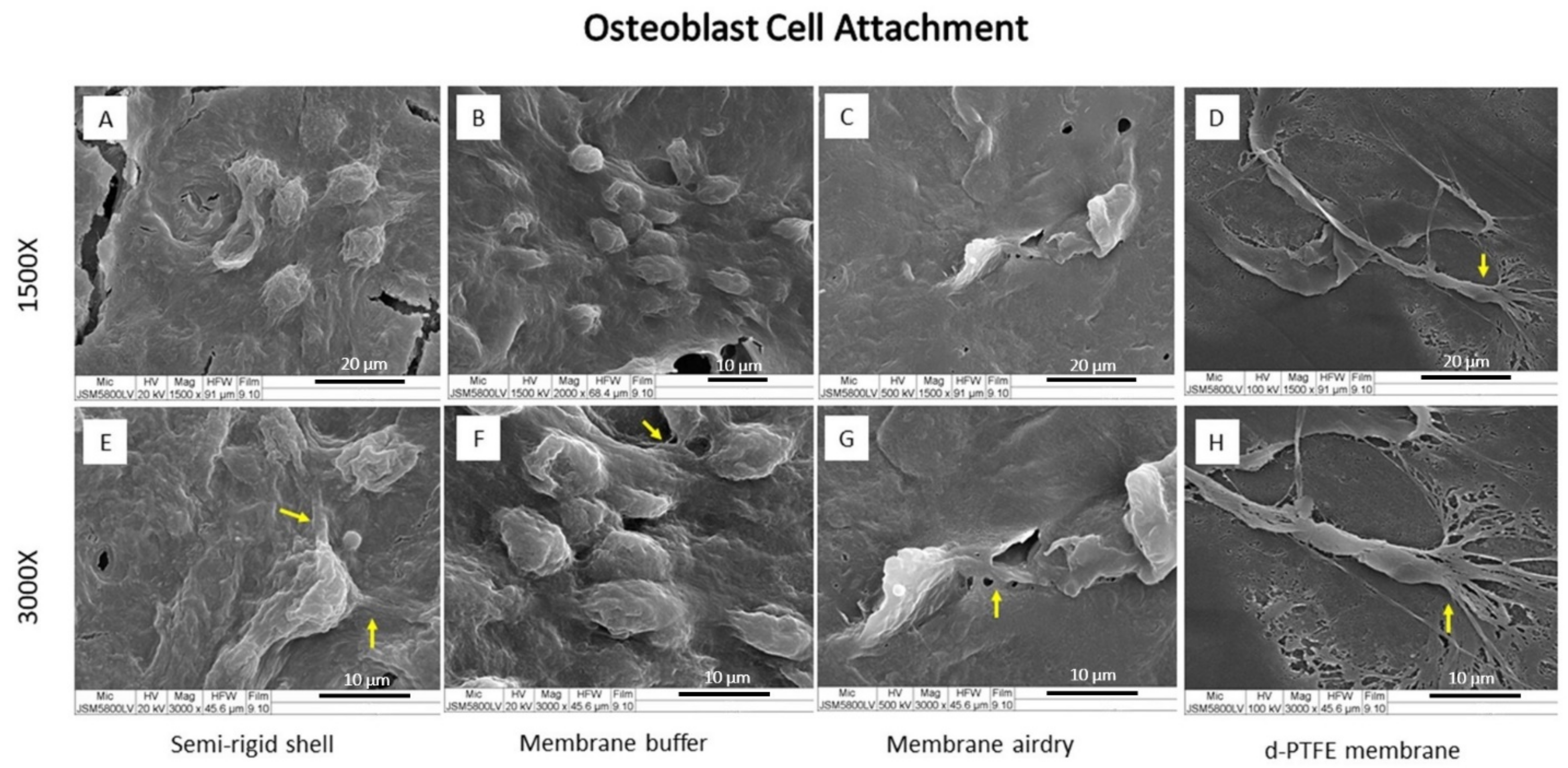 Polymers 14 02451 g005 Polymers 14 02451 g005