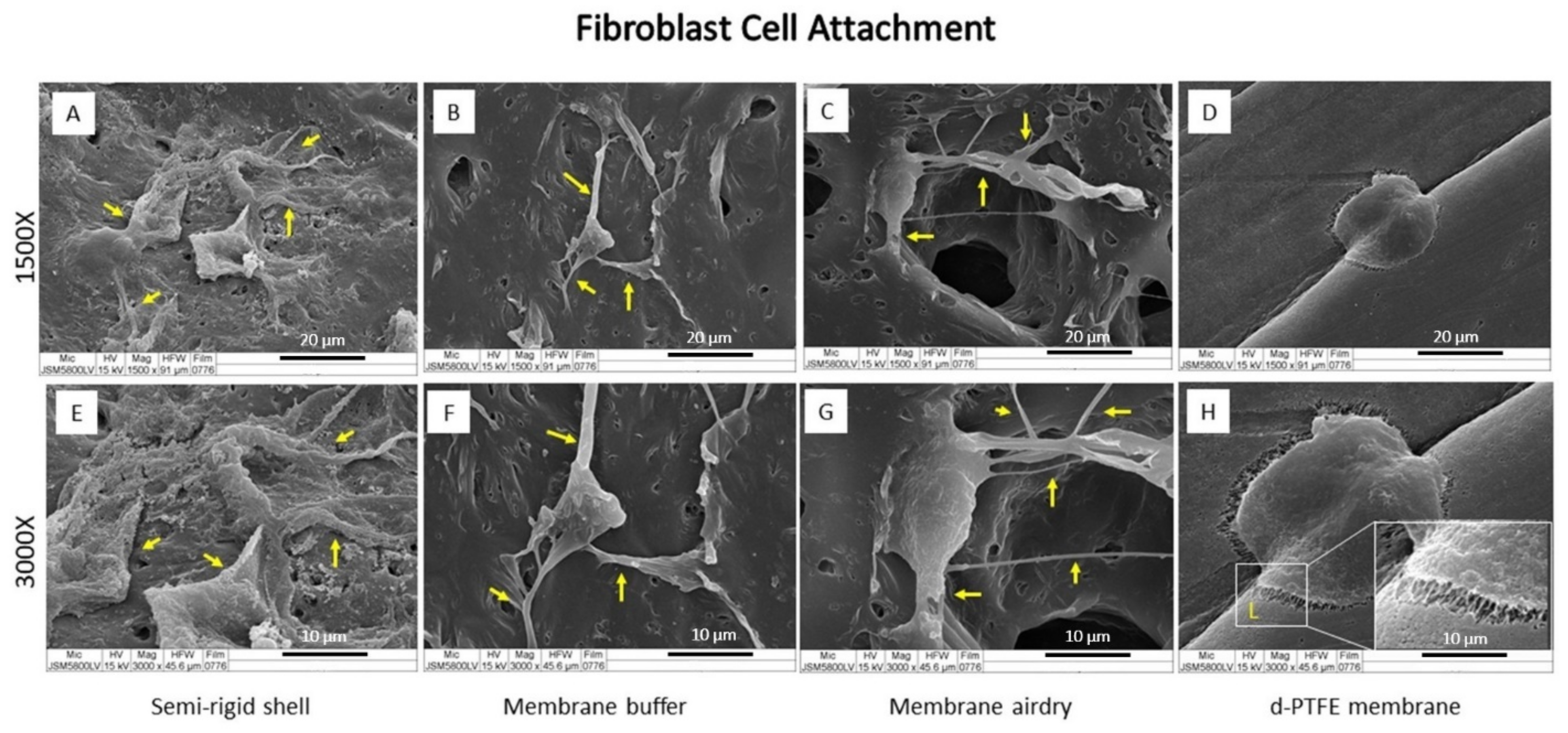 Polymers 14 02451 g006 Polymers 14 02451 g006