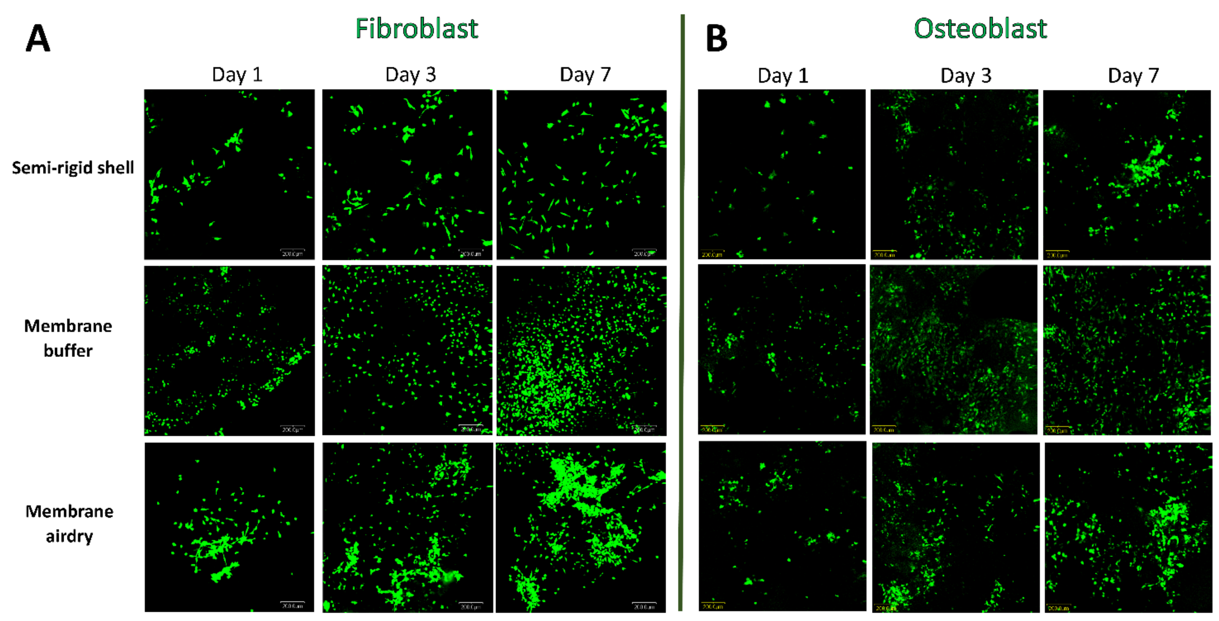 Polymers 14 02451 g007 Polymers 14 02451 g007