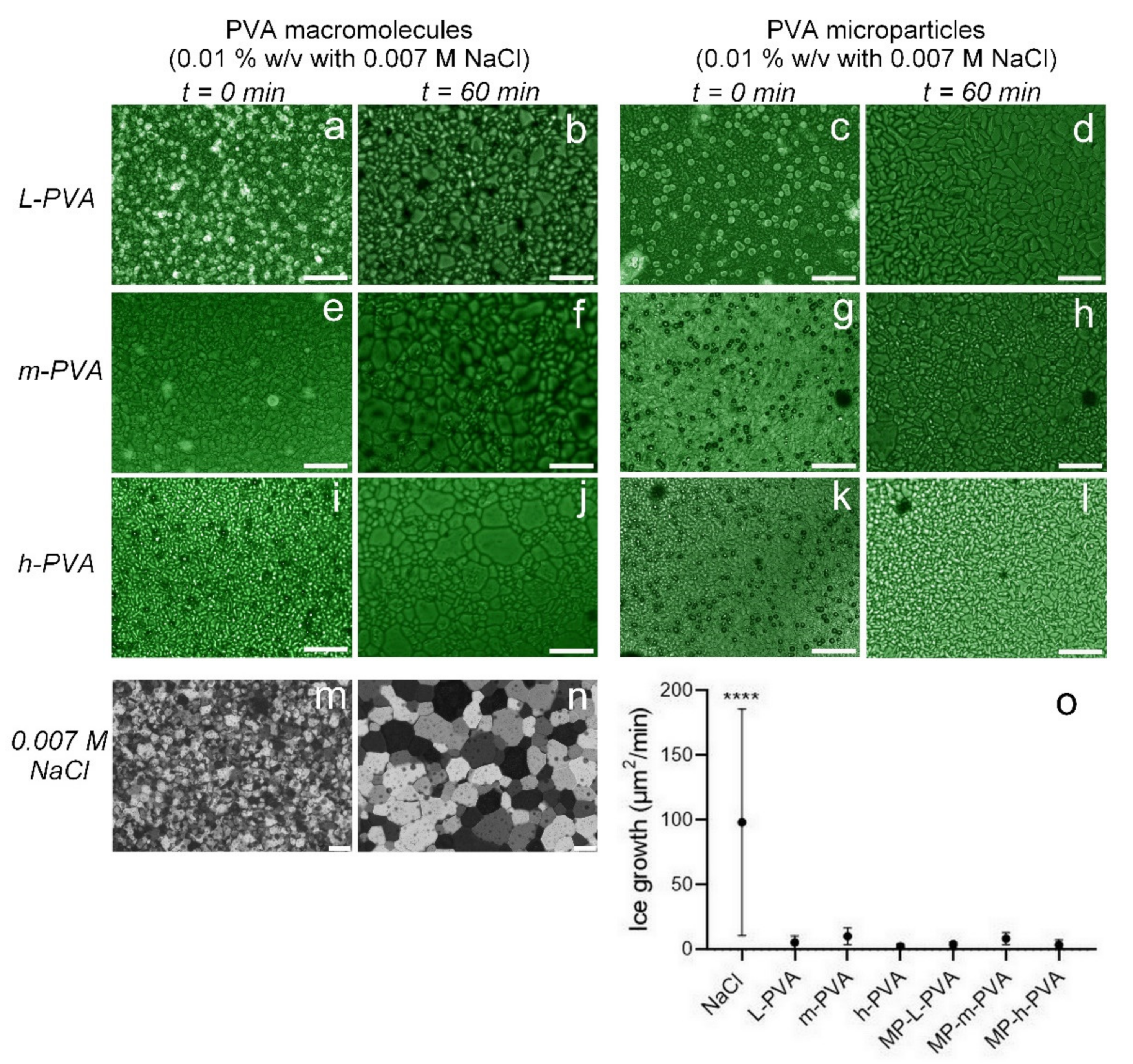 Polymers 14 02452 g003 550