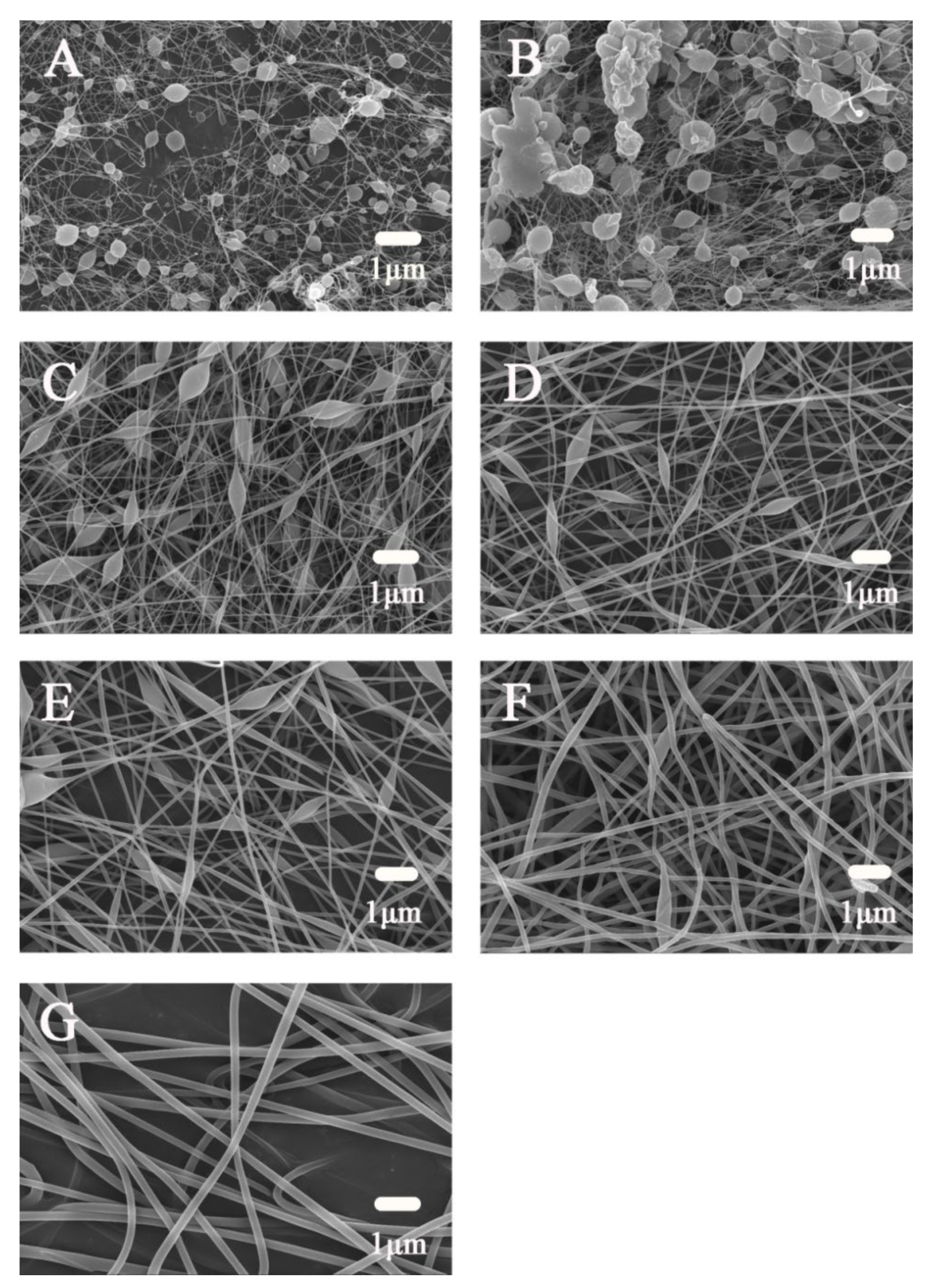 Polymers 14 02454 g003