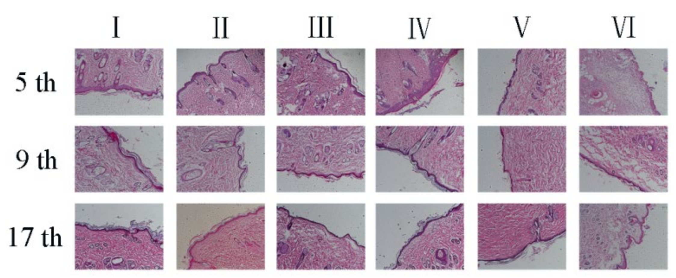 Polymers 14 02454 g011