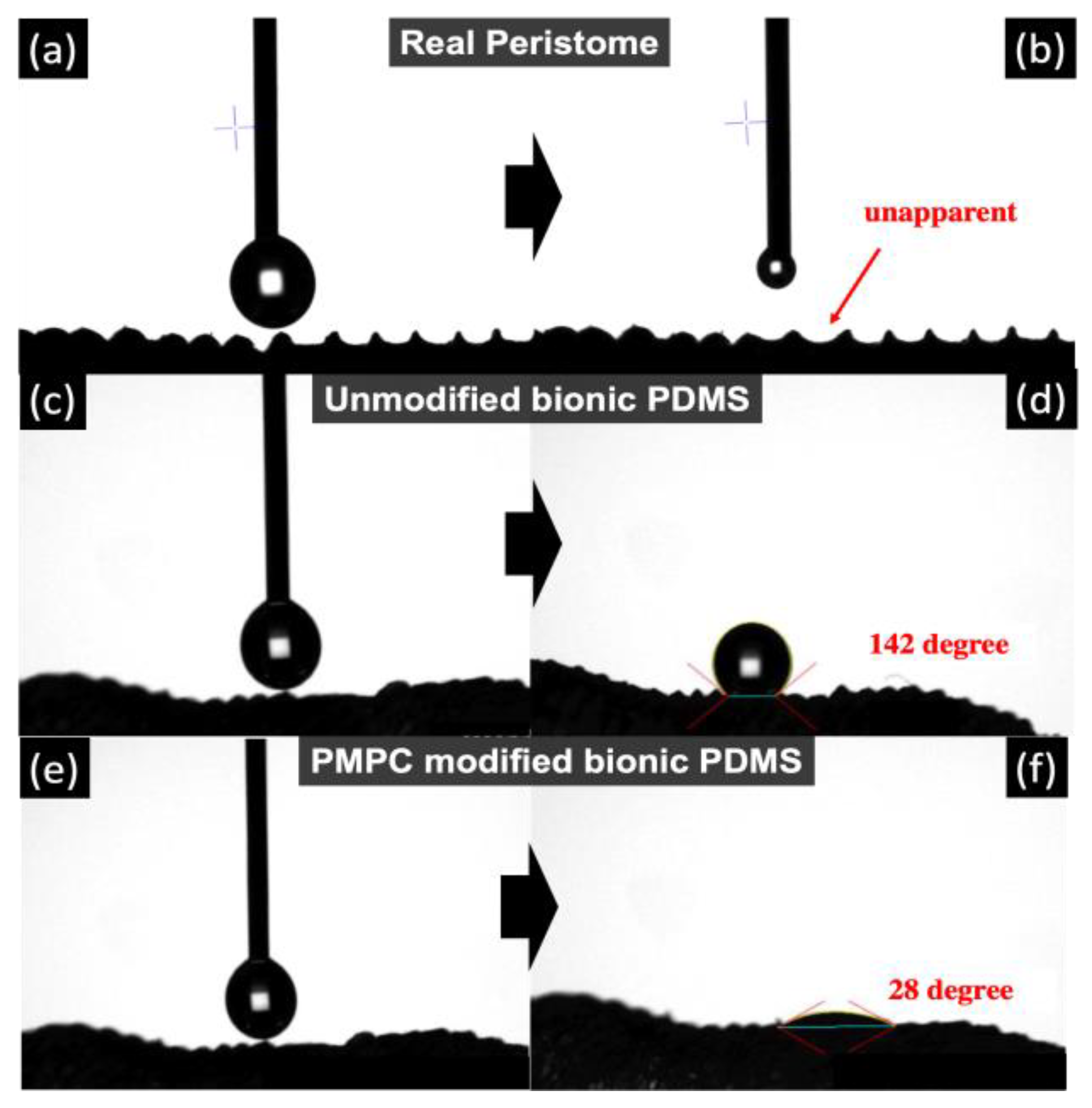 Polymers 14 02465 g007