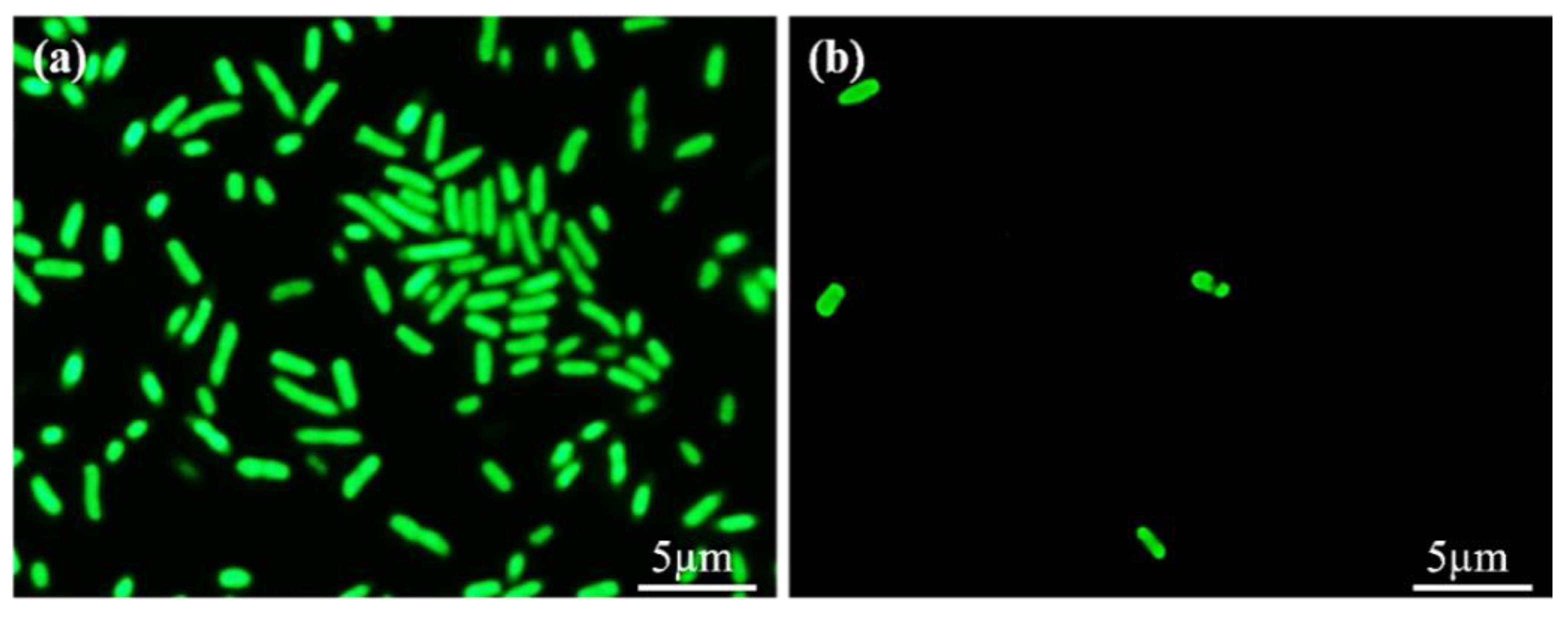 Polymers 14 02465 g010