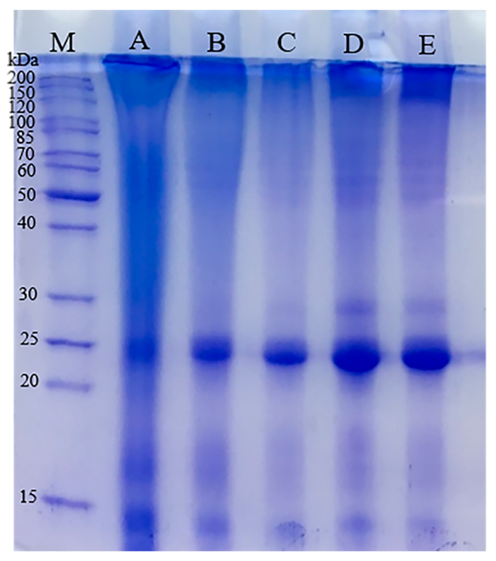 Polymers 14 02466 g002 550