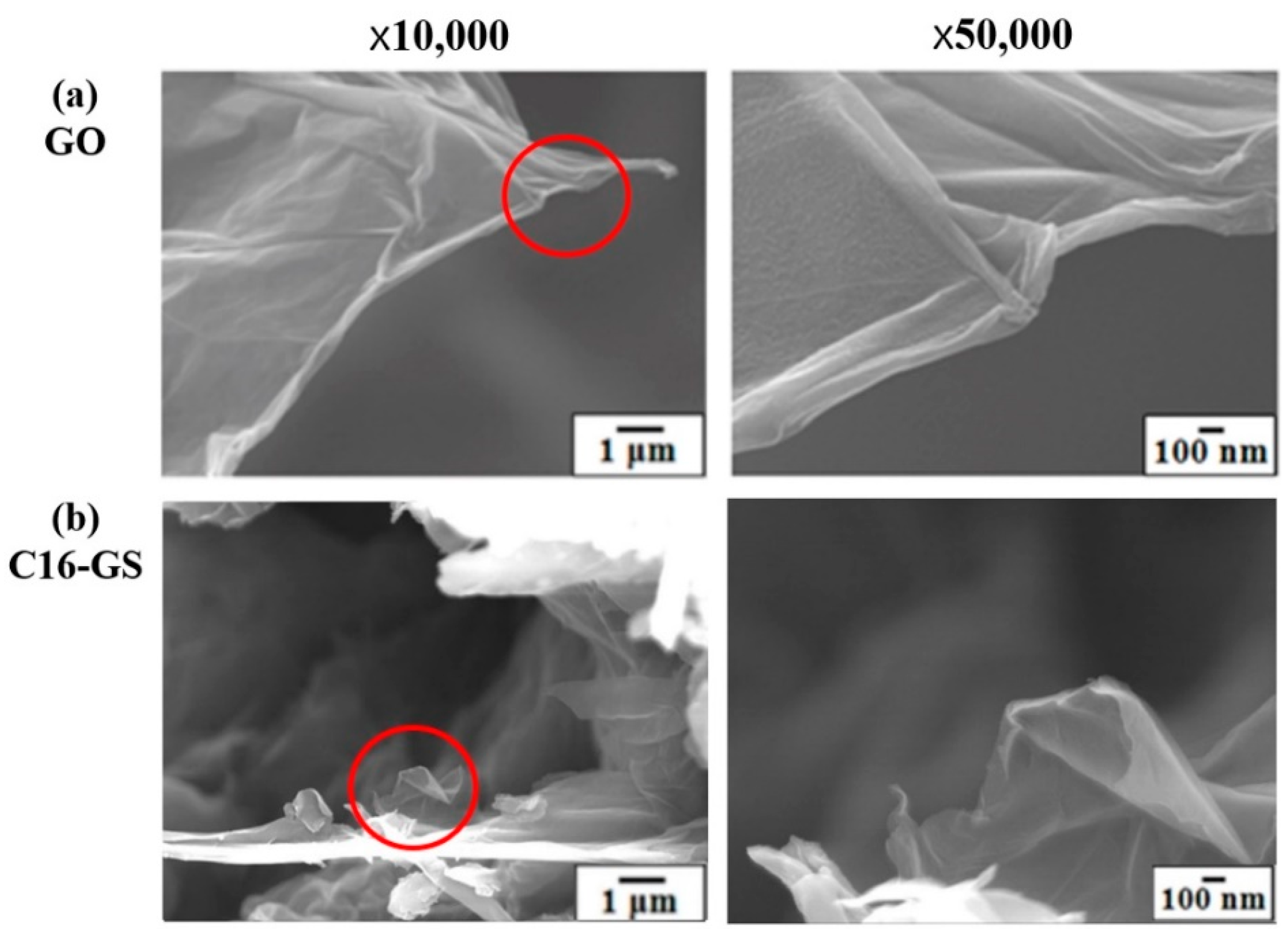 Polymers 14 02469 g002