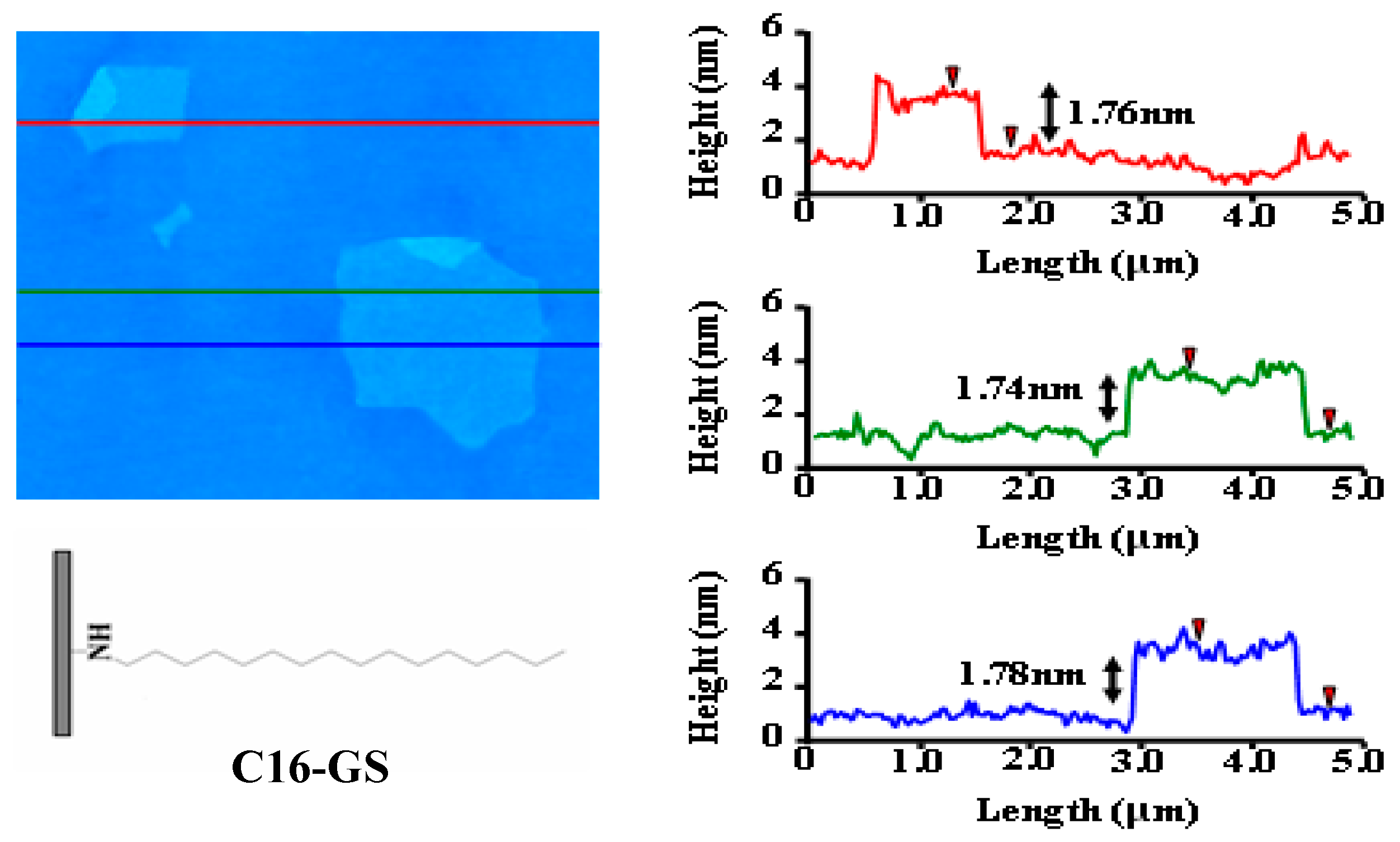 Polymers 14 02469 g003