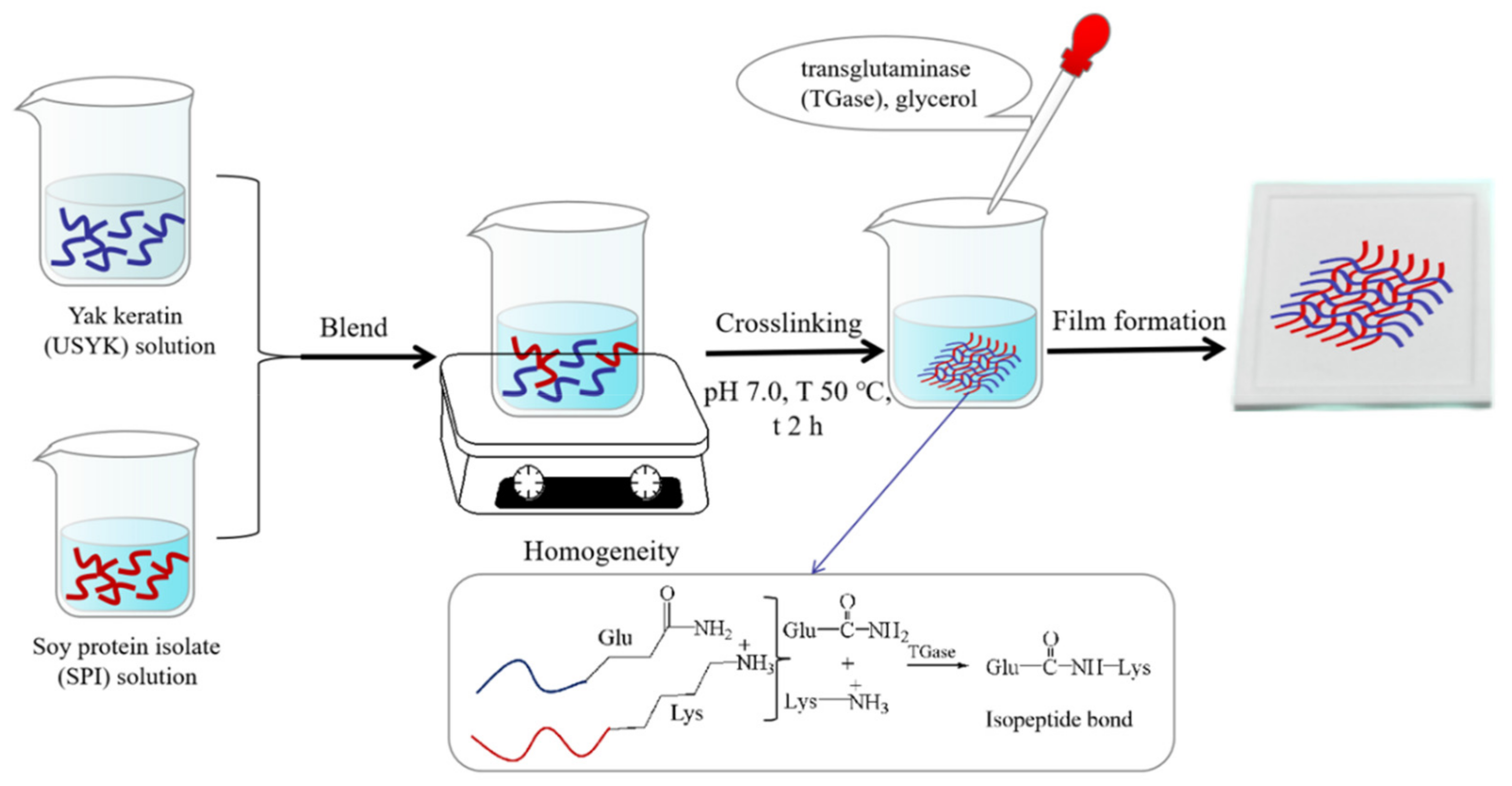 Polymers 14 02471 g001