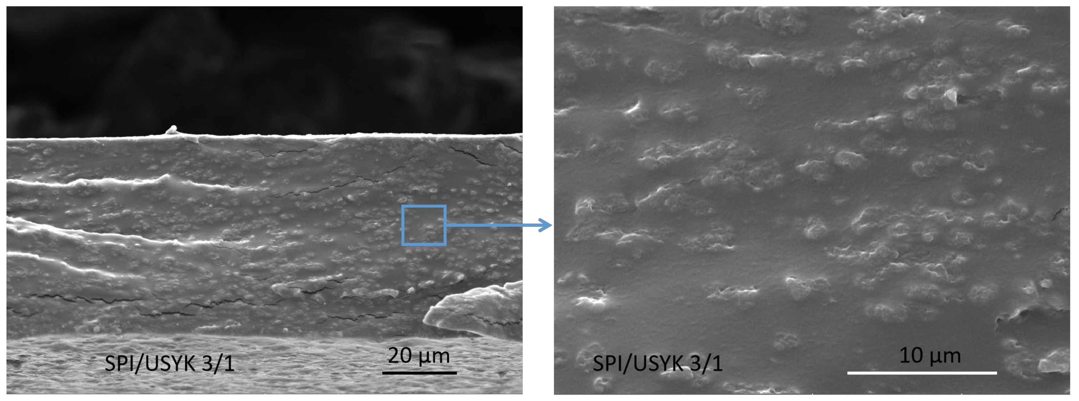 Polymers 14 02471 g003