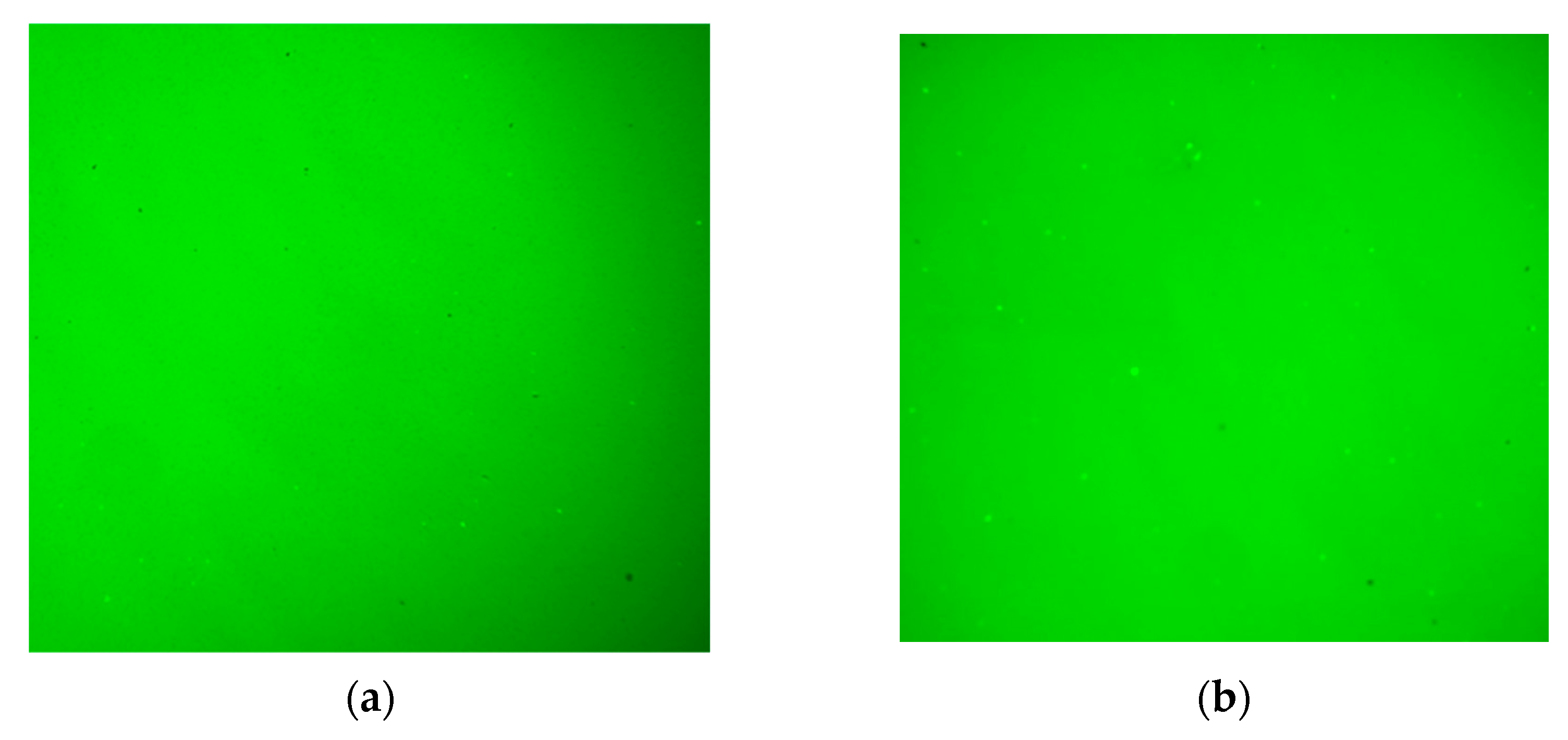 Polymers 14 02476 g015a 550