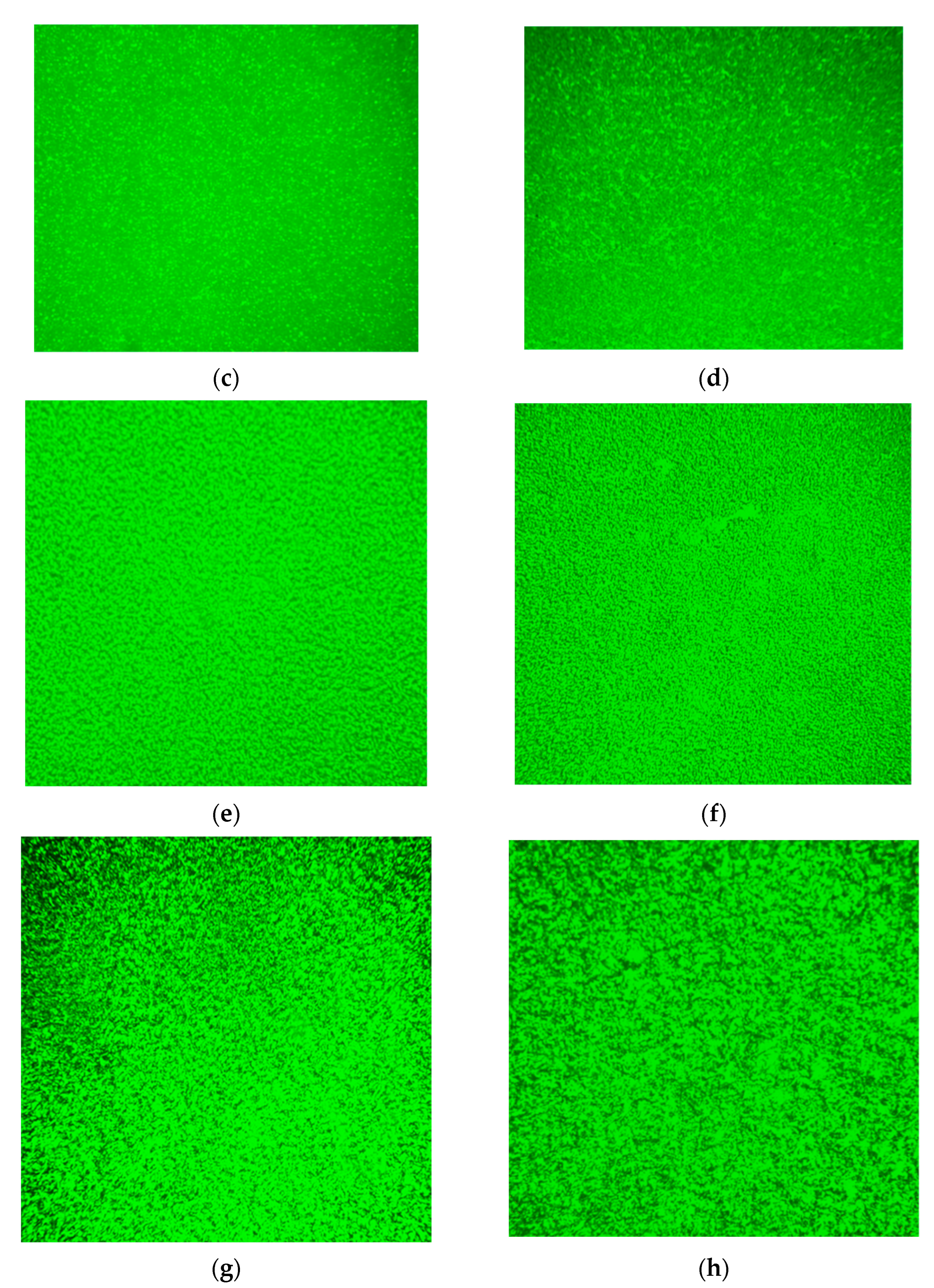 Polymers 14 02476 g015b 550