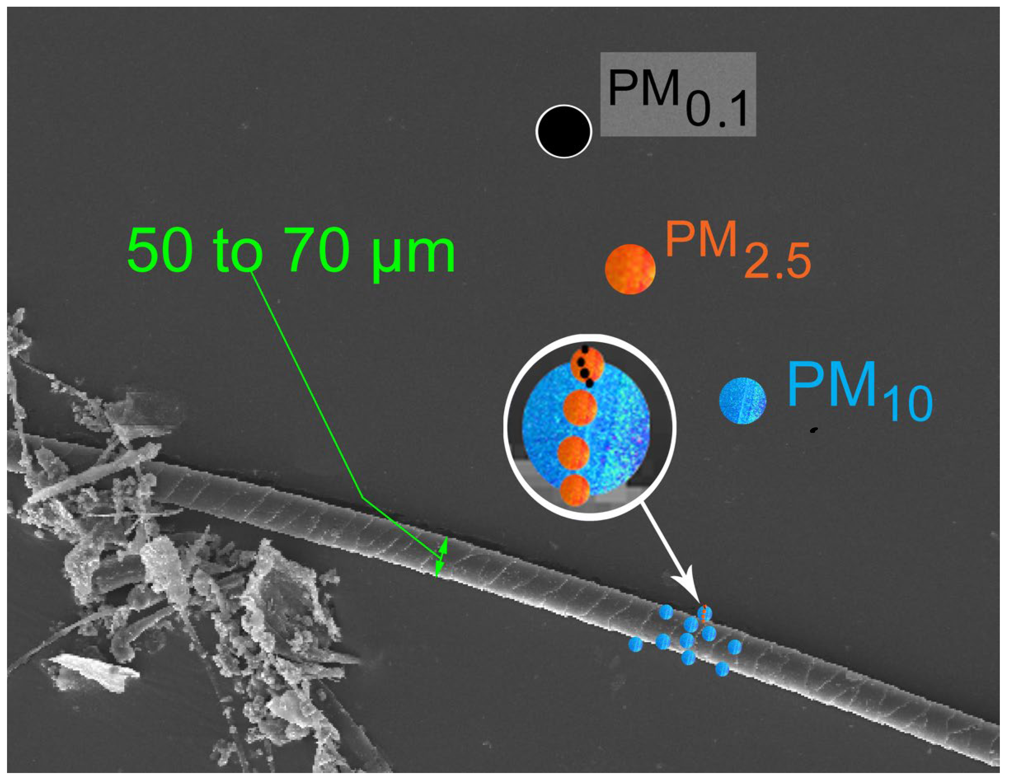 Polymers 14 02477 g002