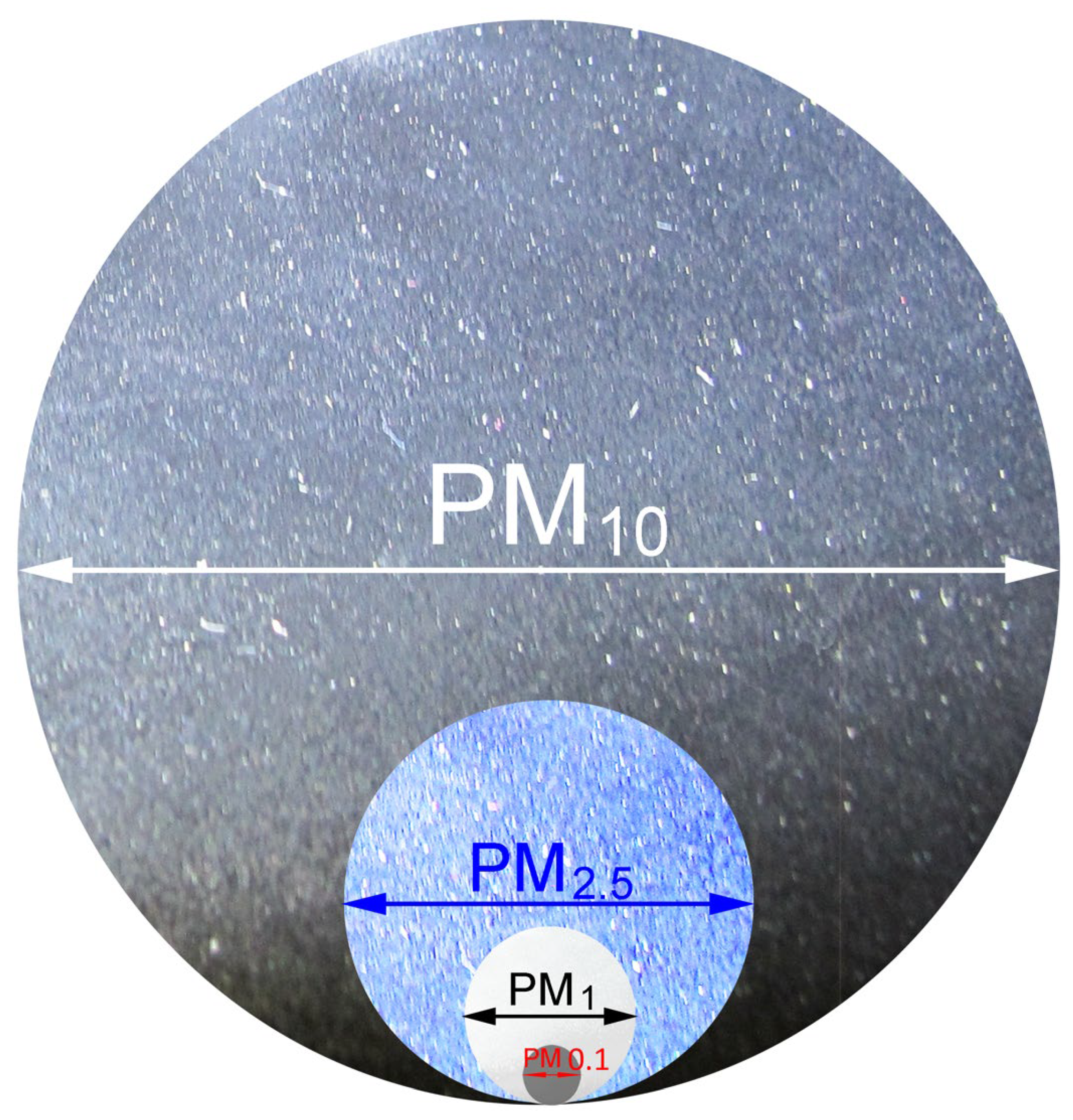 Polymers 14 02477 g003