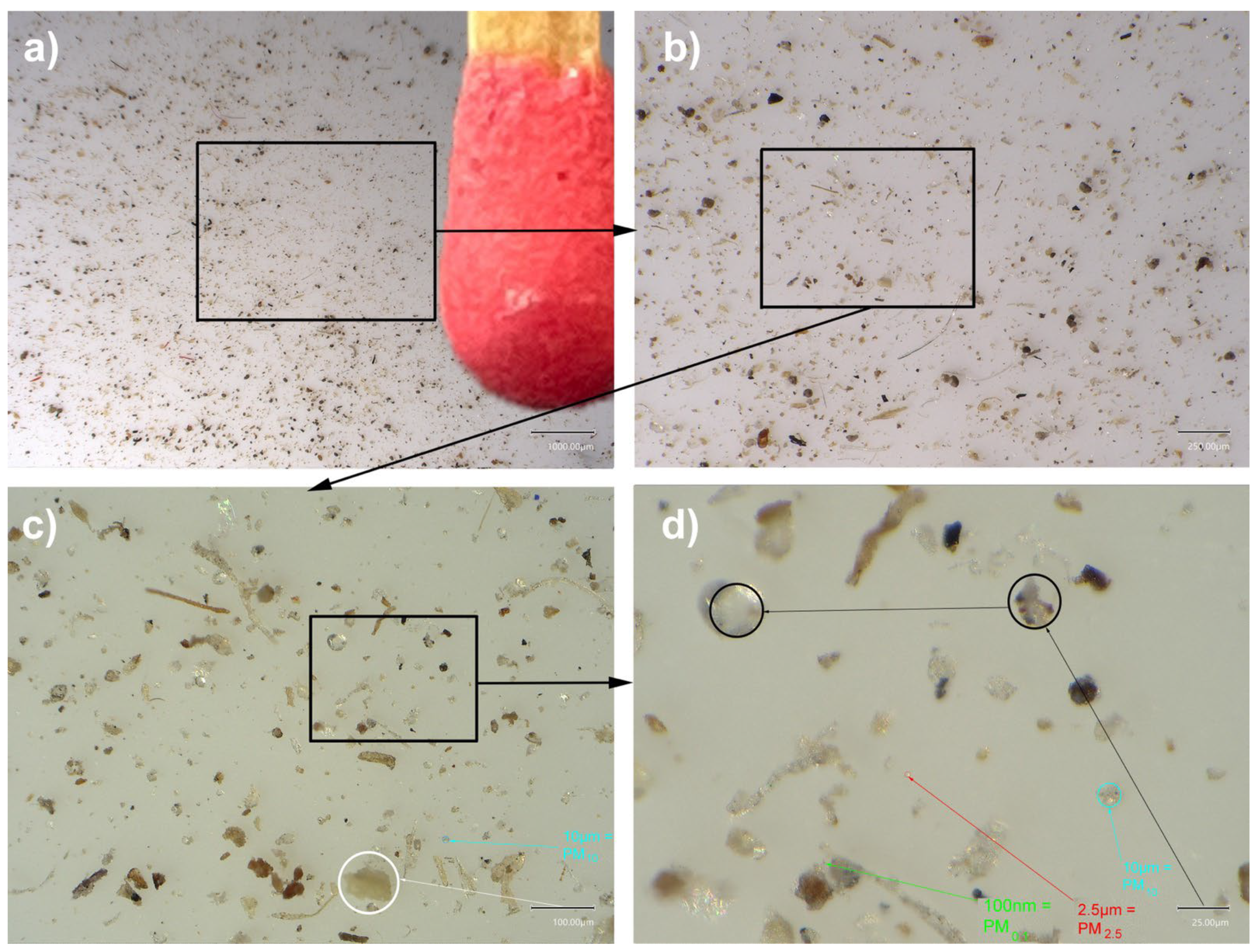 Polymers 14 02477 g004