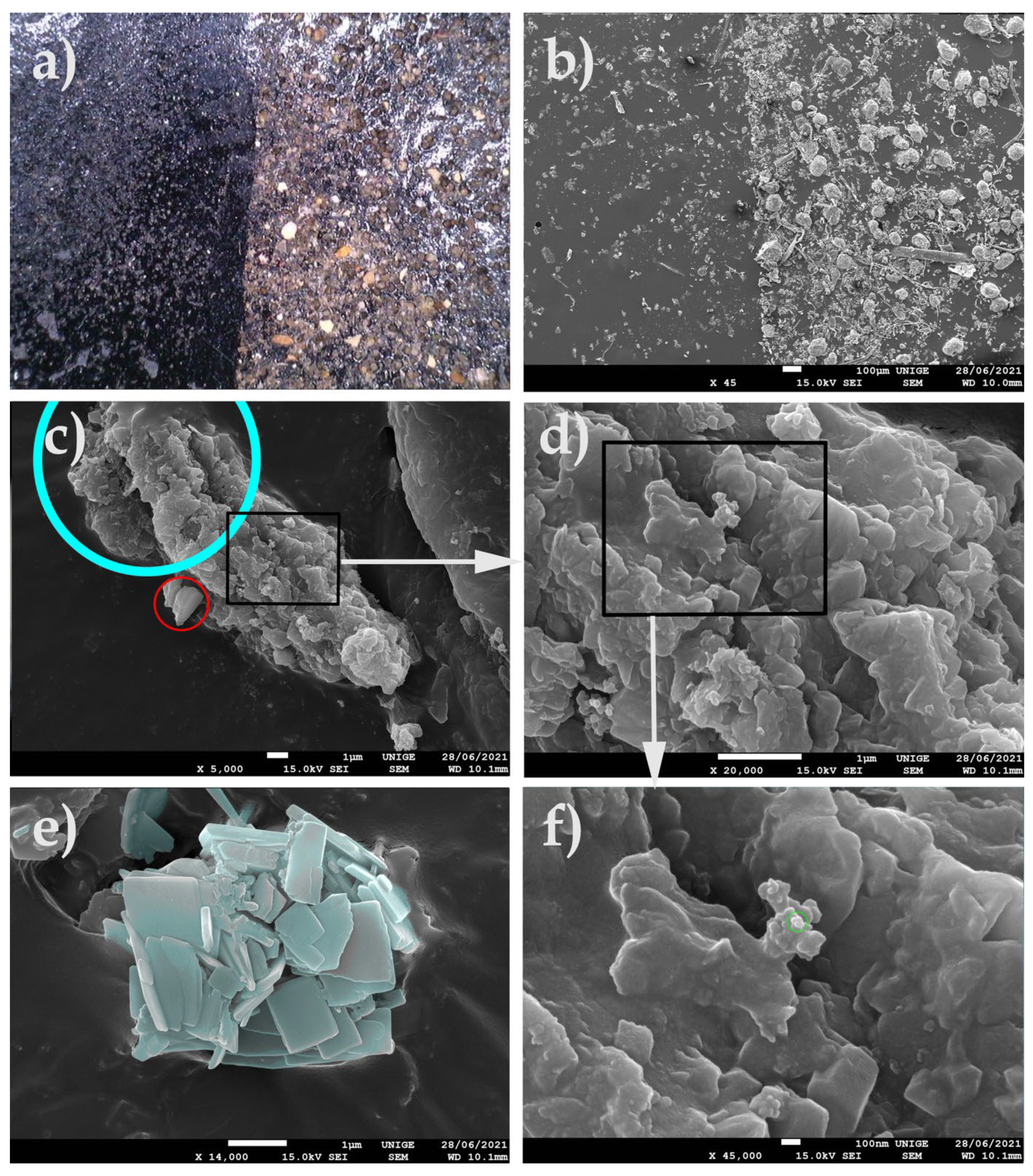 Polymers 14 02477 g005