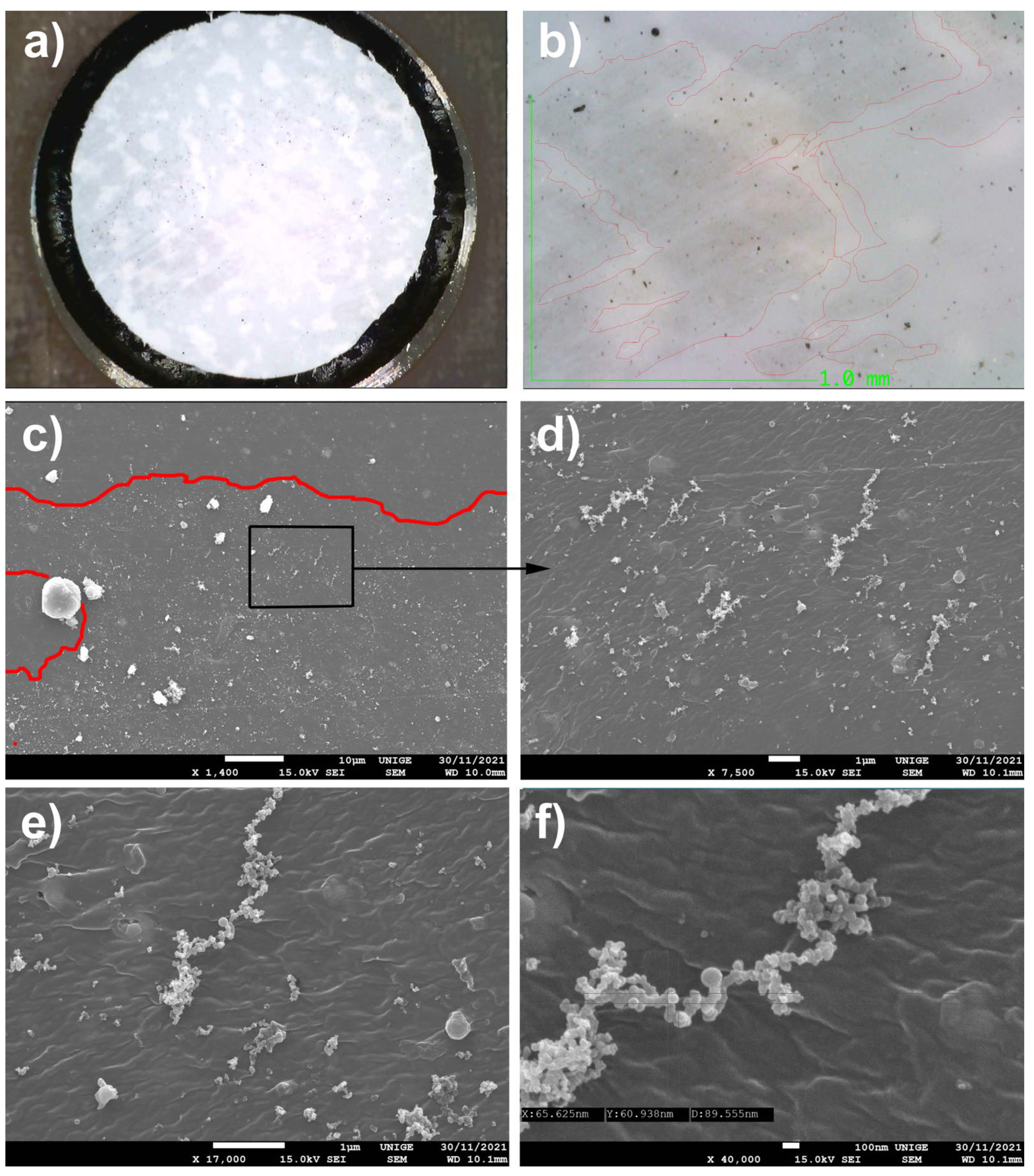Polymers 14 02477 g007