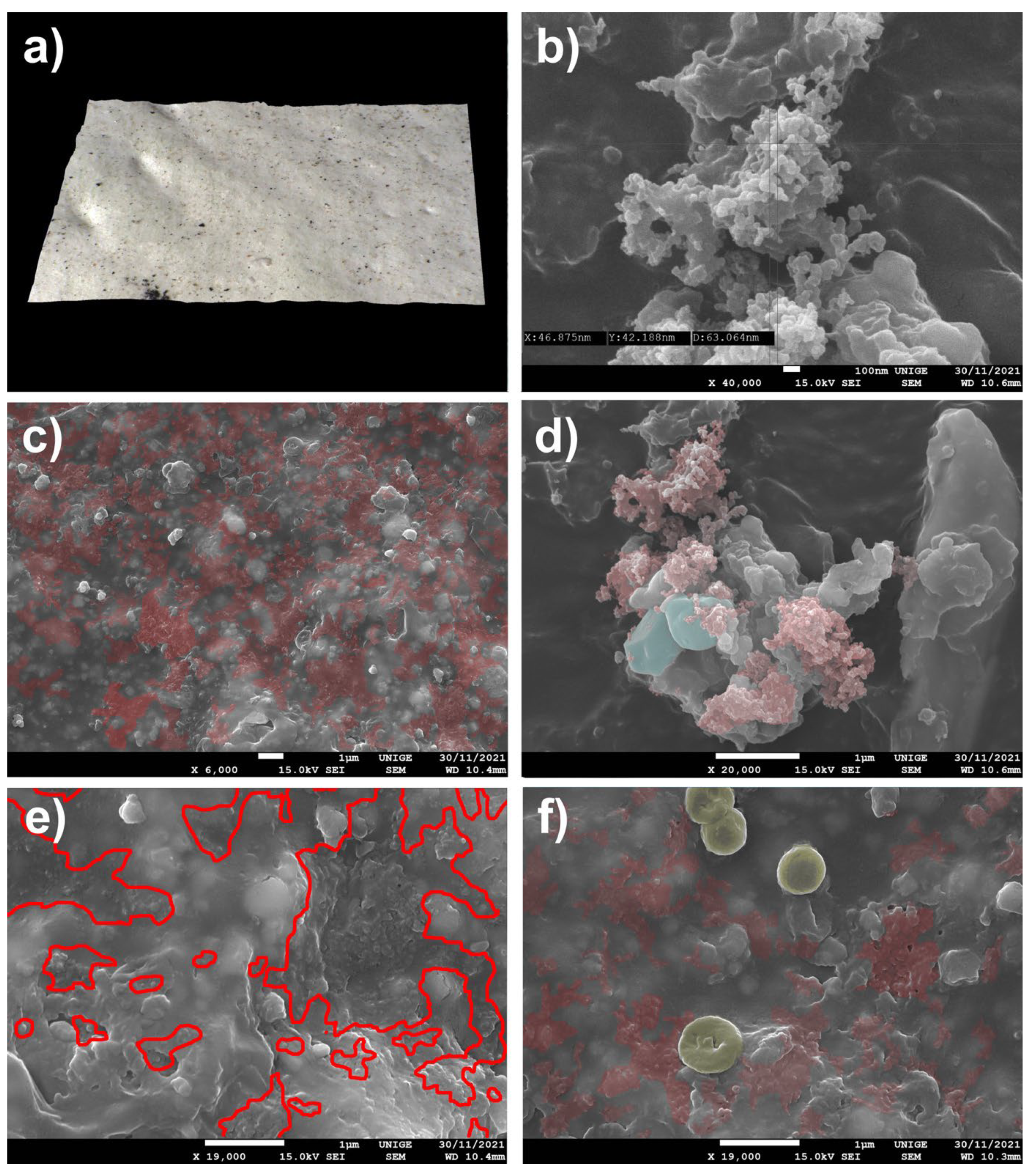 Polymers 14 02477 g008