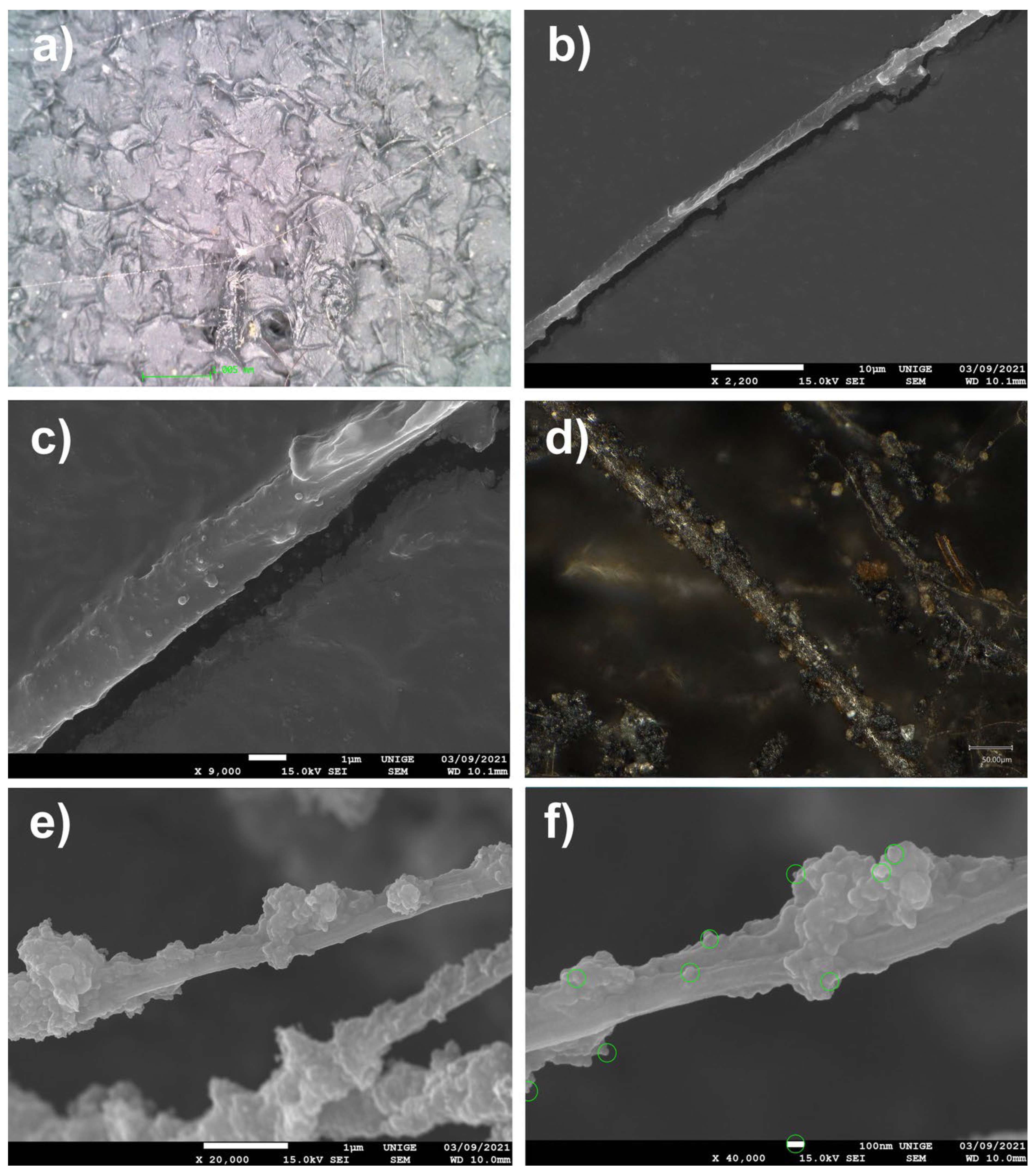 Polymers 14 02477 g009