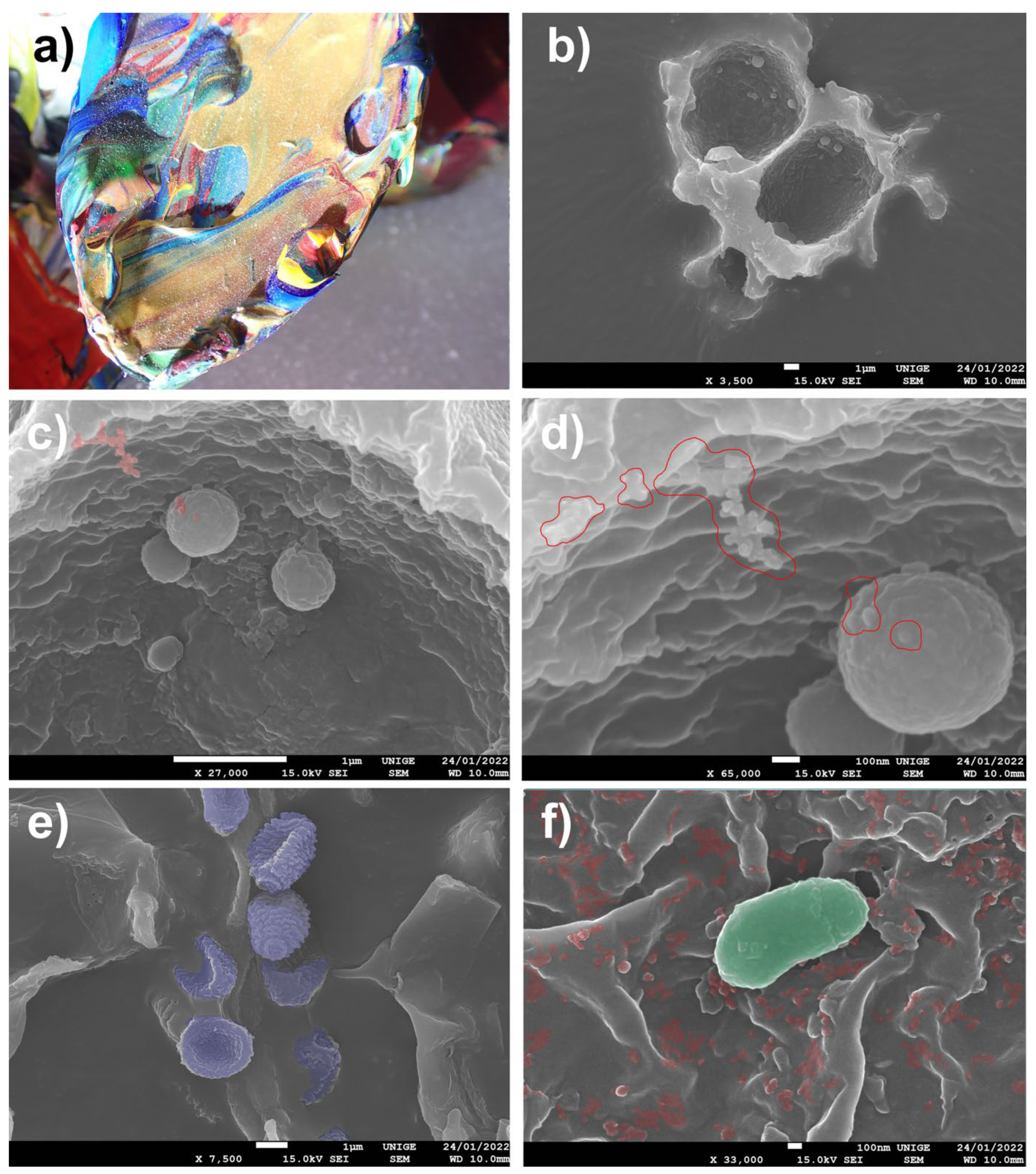 Polymers 14 02477 g010