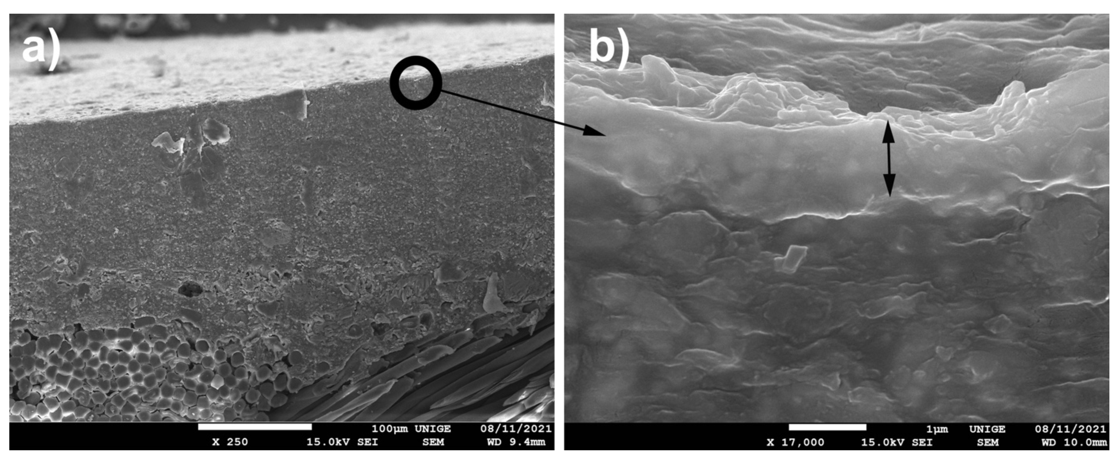 Polymers 14 02477 g013