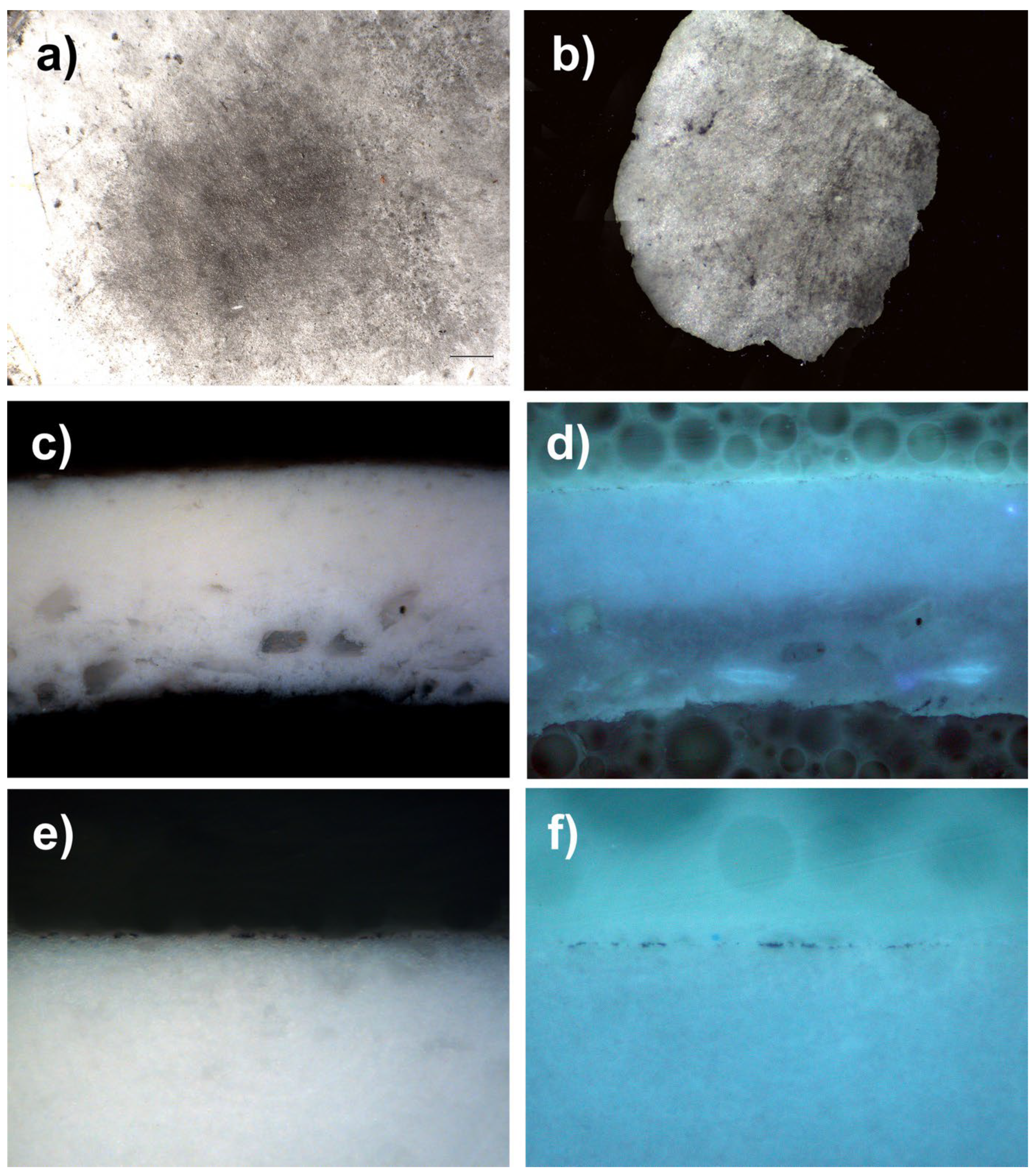 Polymers 14 02477 g016