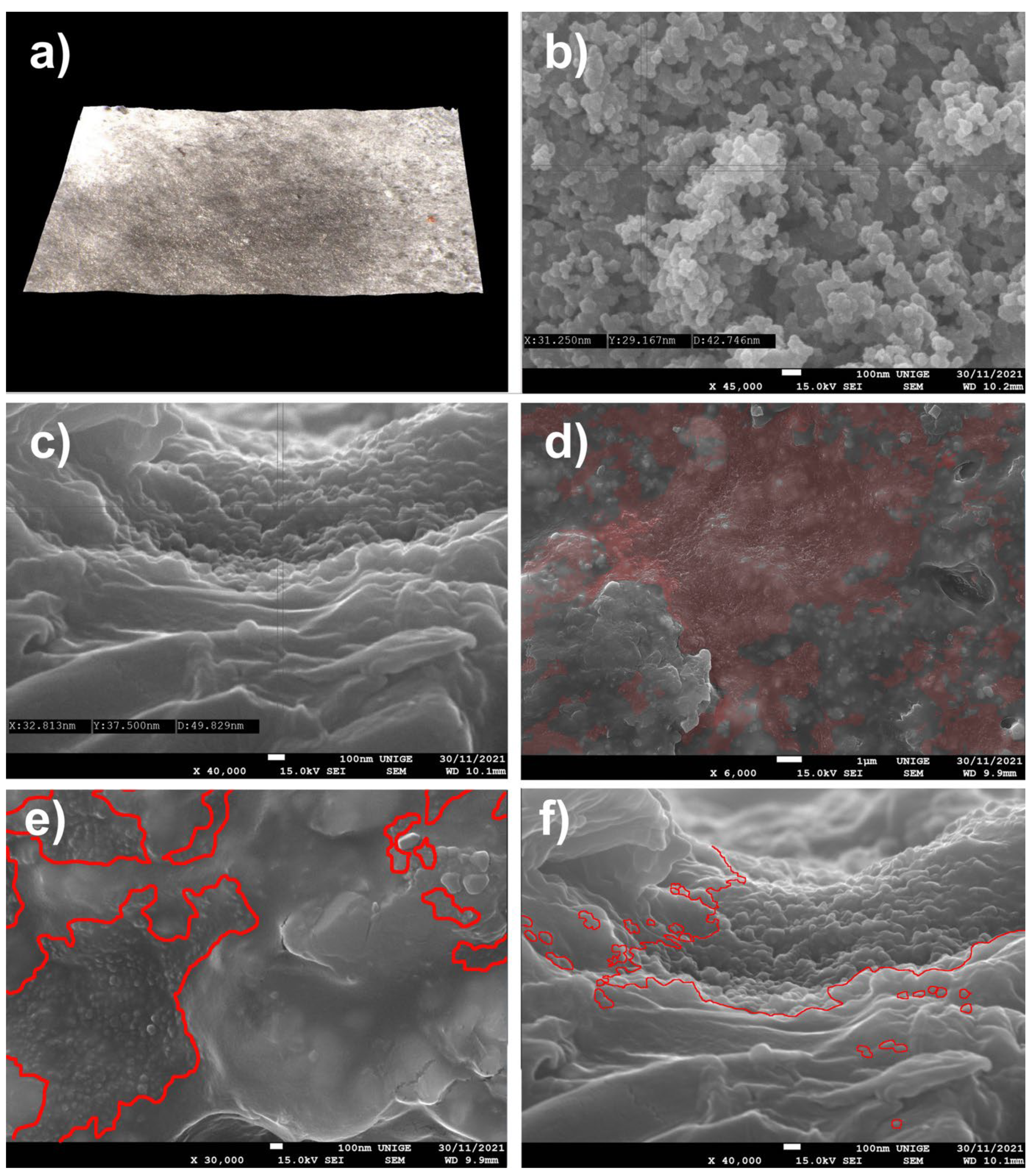 Polymers 14 02477 g017
