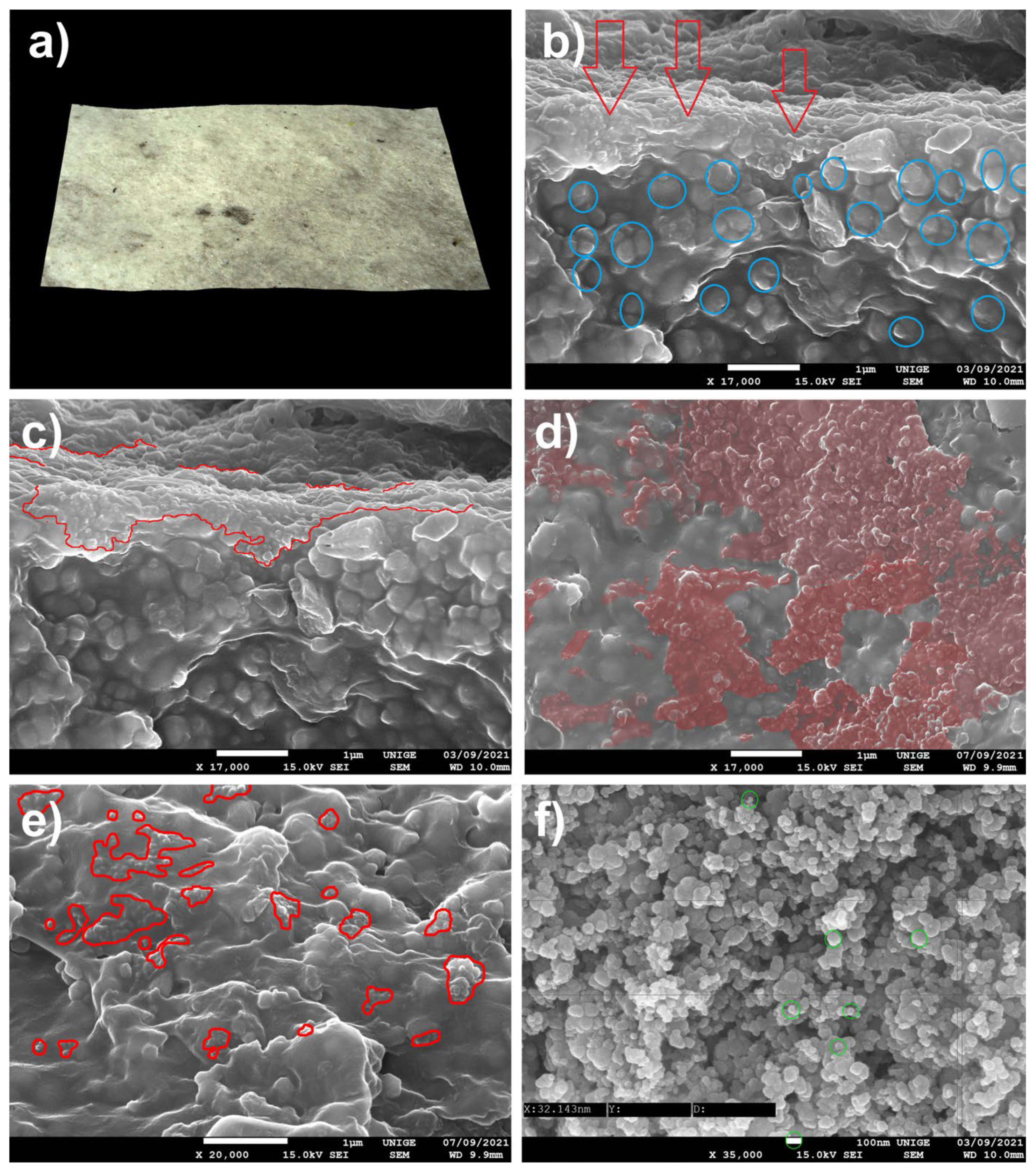 Polymers 14 02477 g018