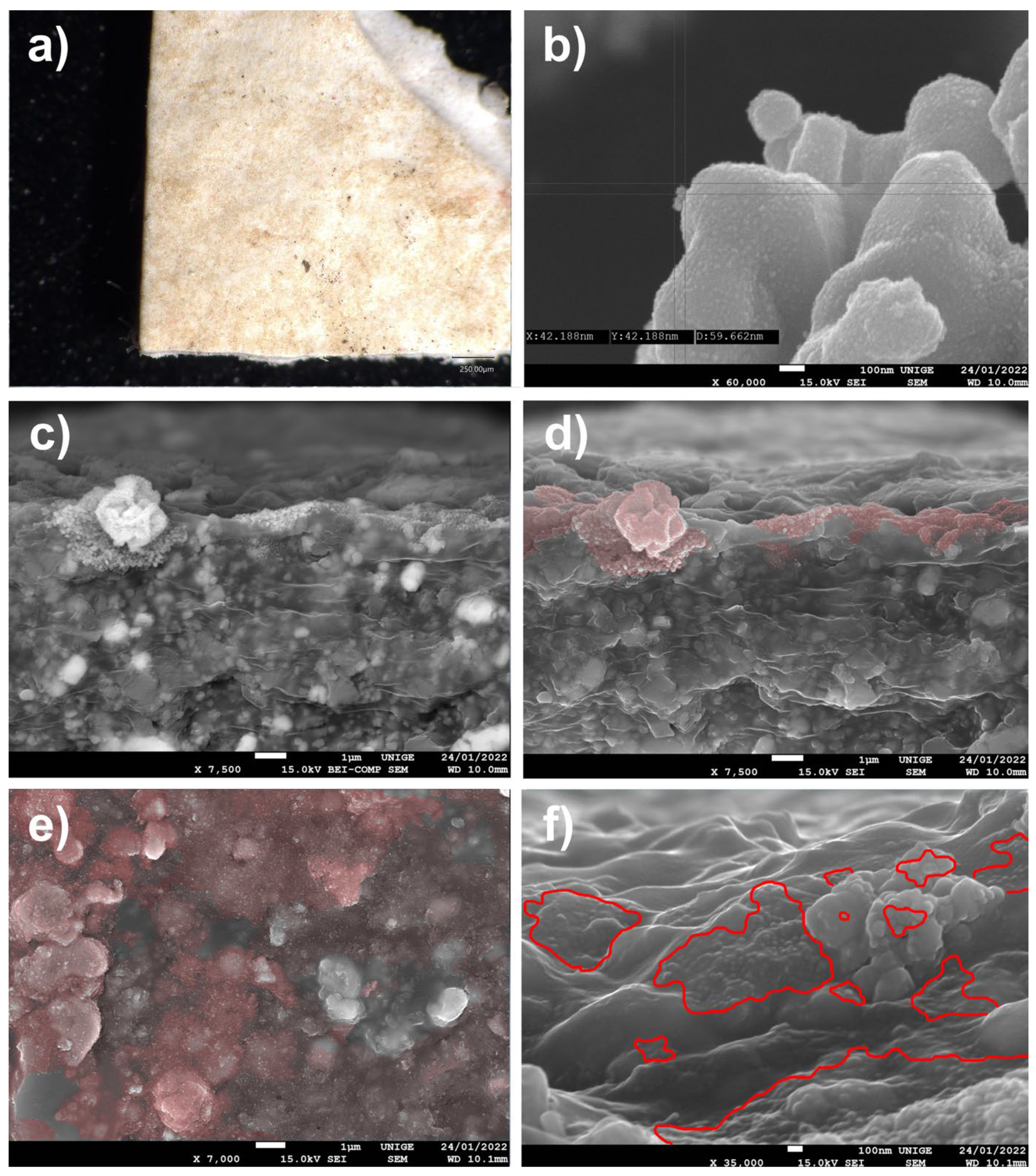 Polymers 14 02477 g019