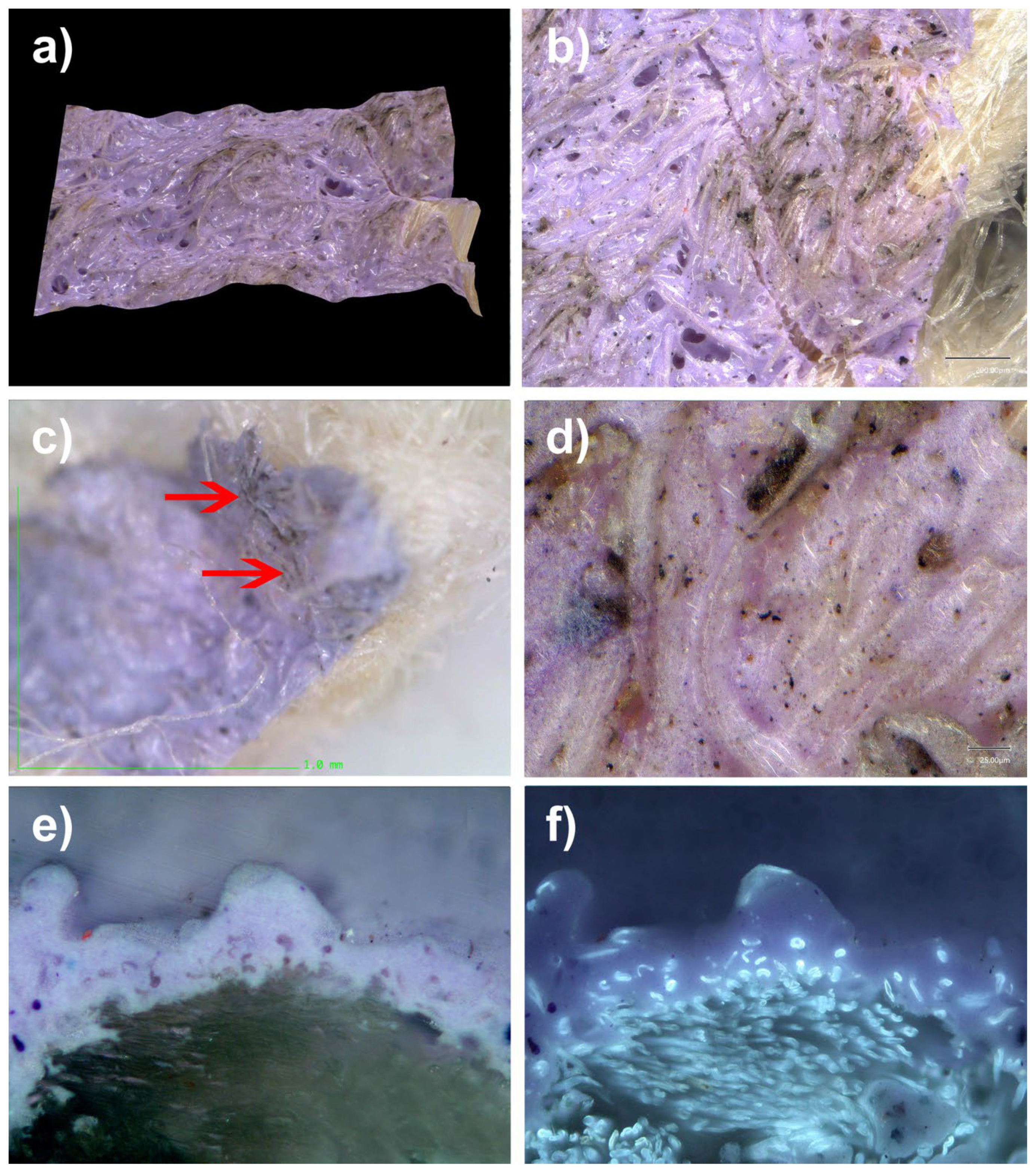 Polymers 14 02477 g020