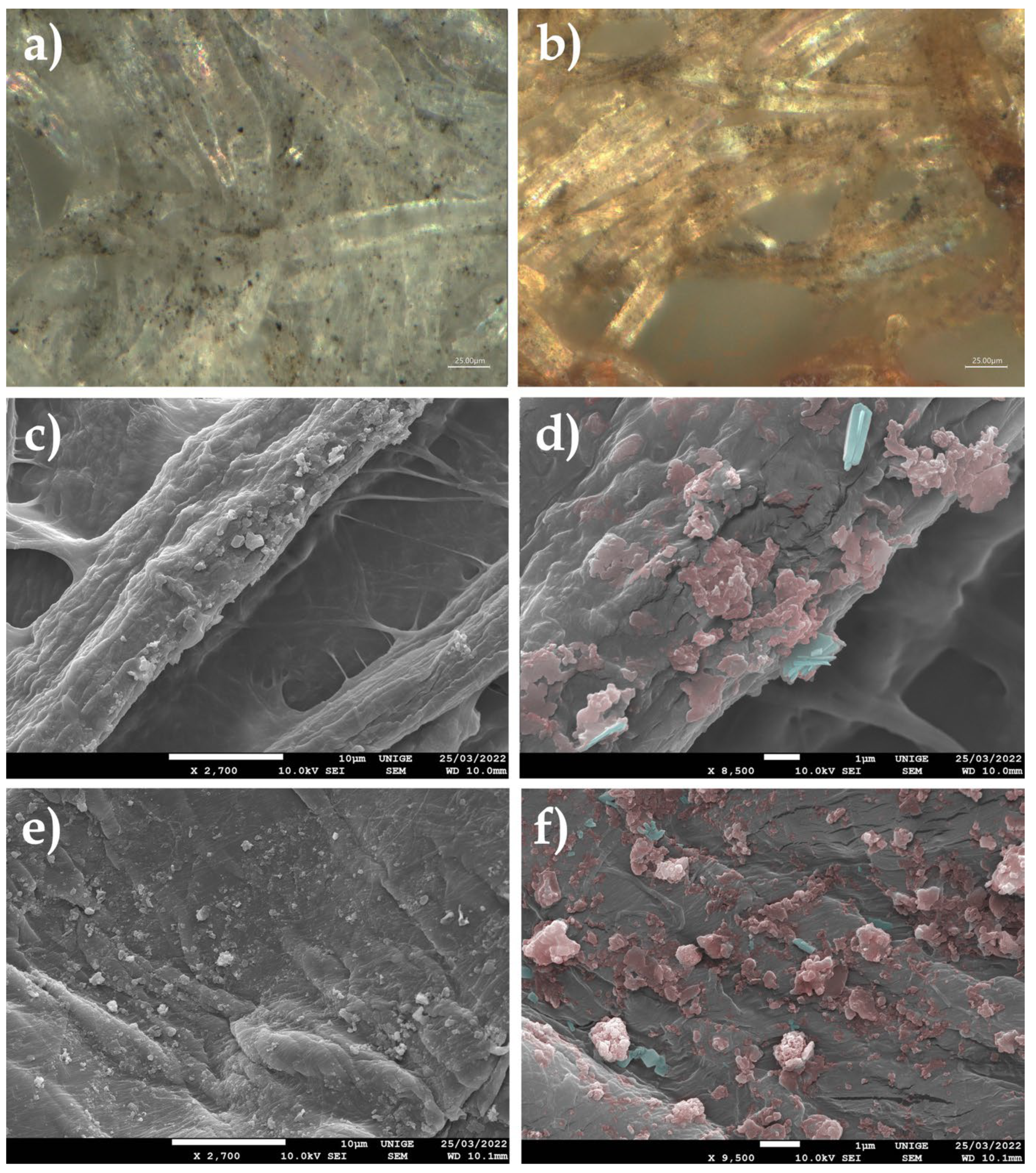 Polymers 14 02477 g026