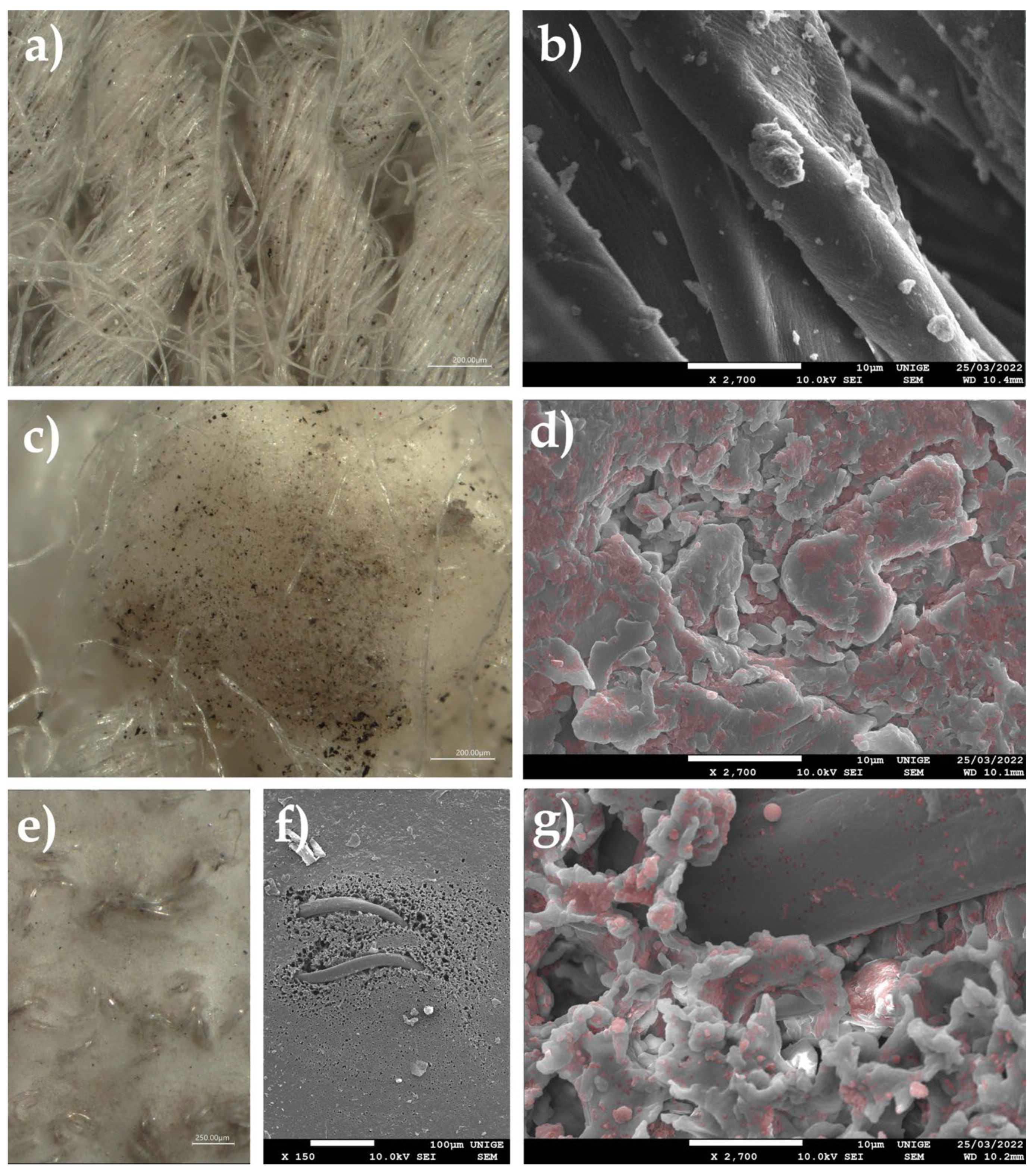 Polymers 14 02477 g027