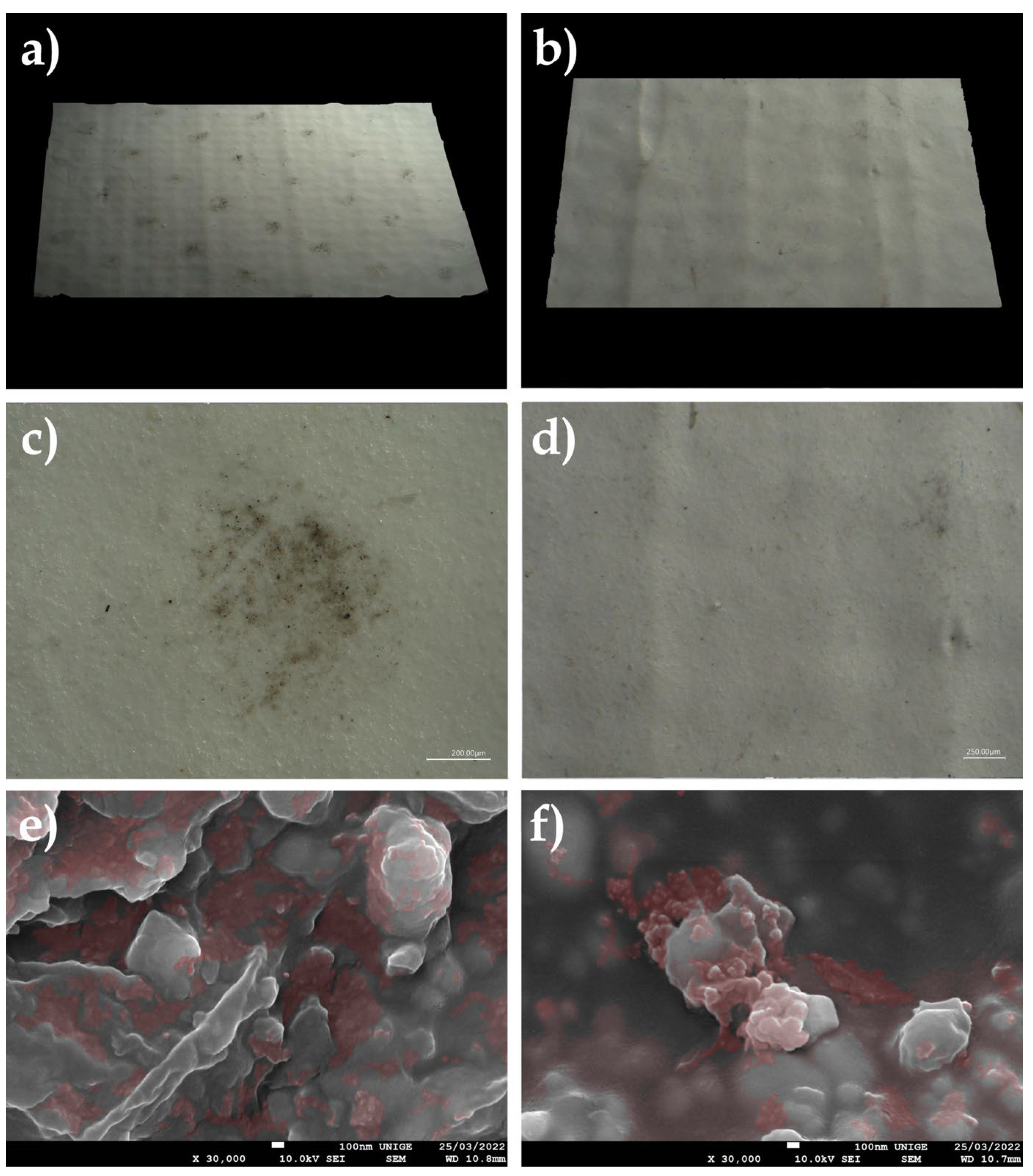 Polymers 14 02477 g028