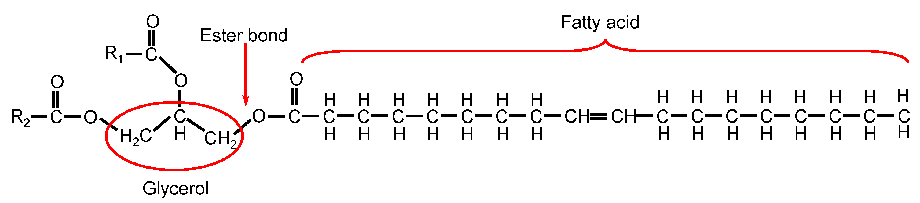 Polymers 14 02479 g002