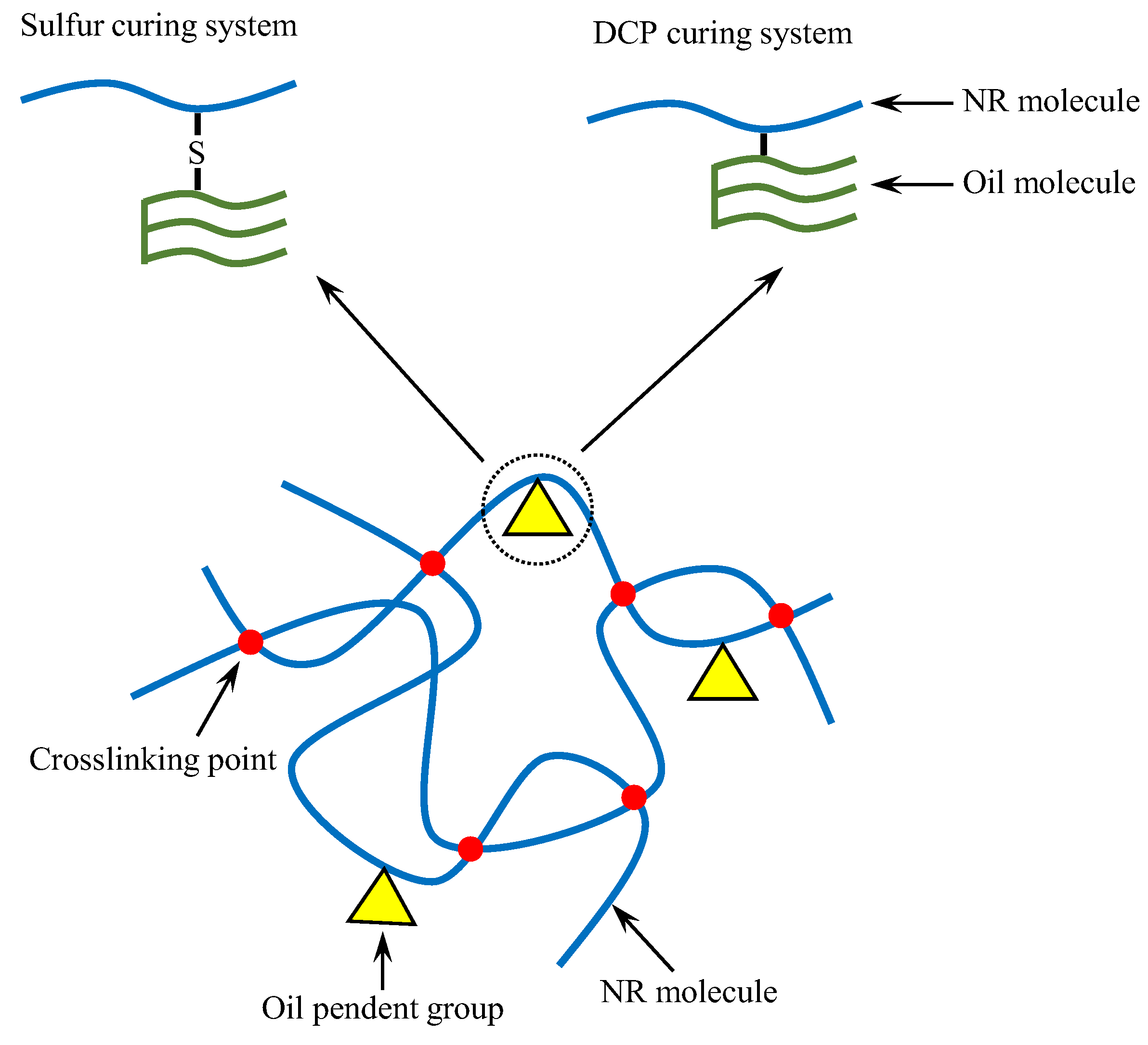 Polymers 14 02479 g010