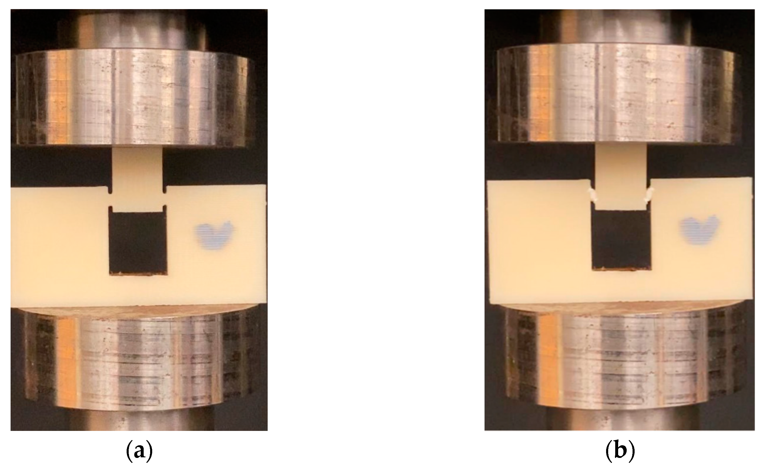 Polymers 14 02484 g004 550
