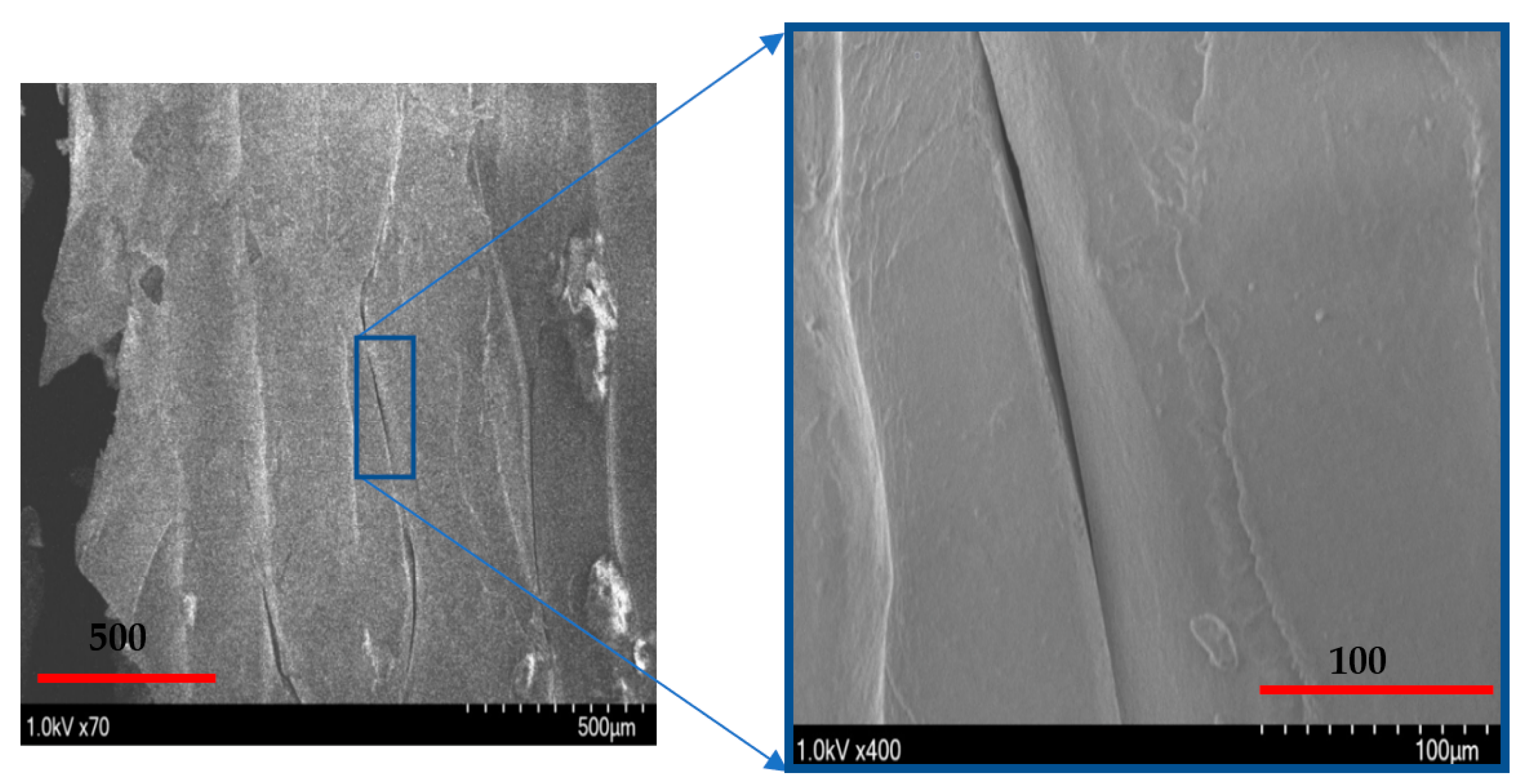 Polymers 14 02484 g008 550