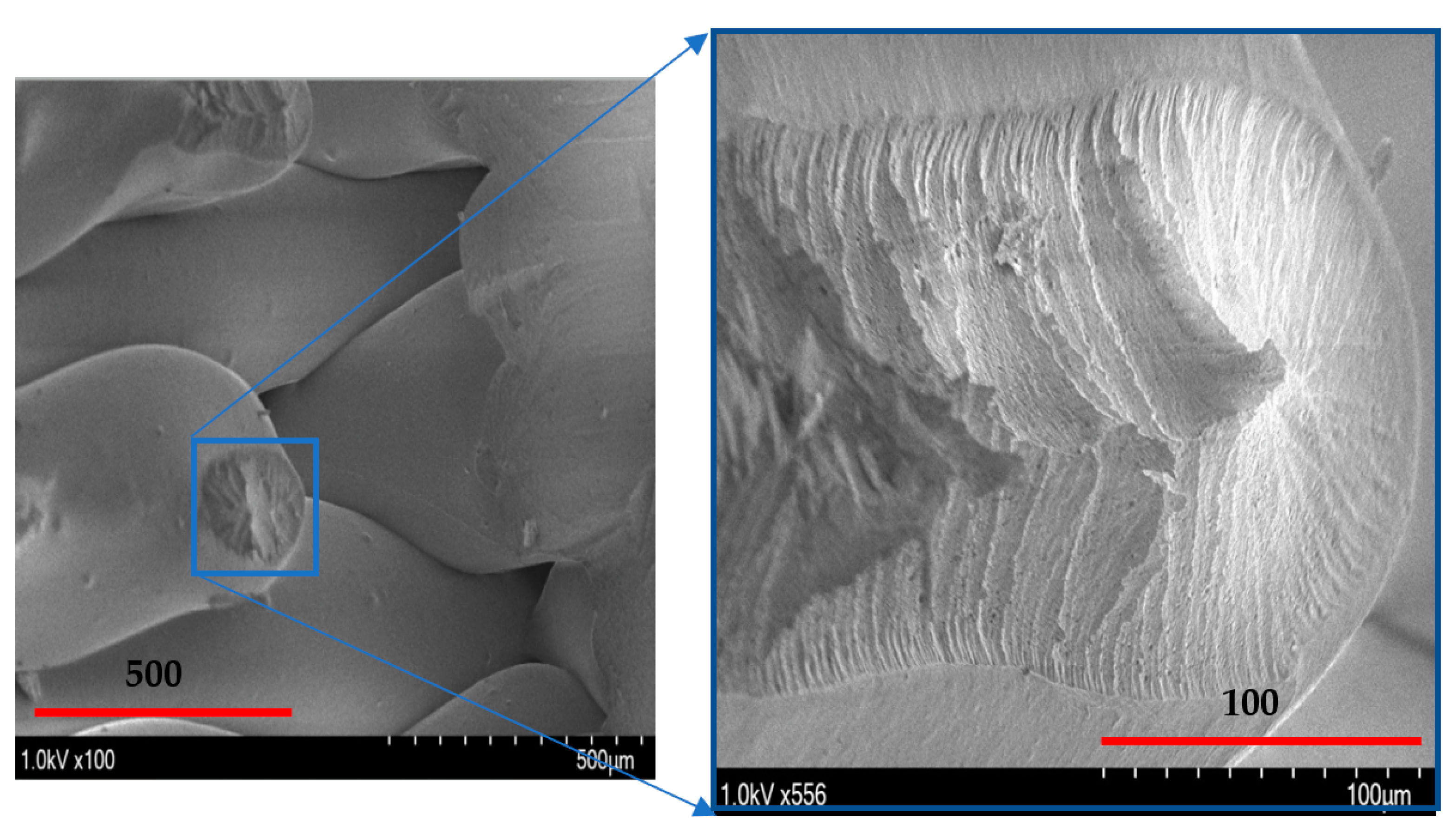 Polymers 14 02484 g010 550