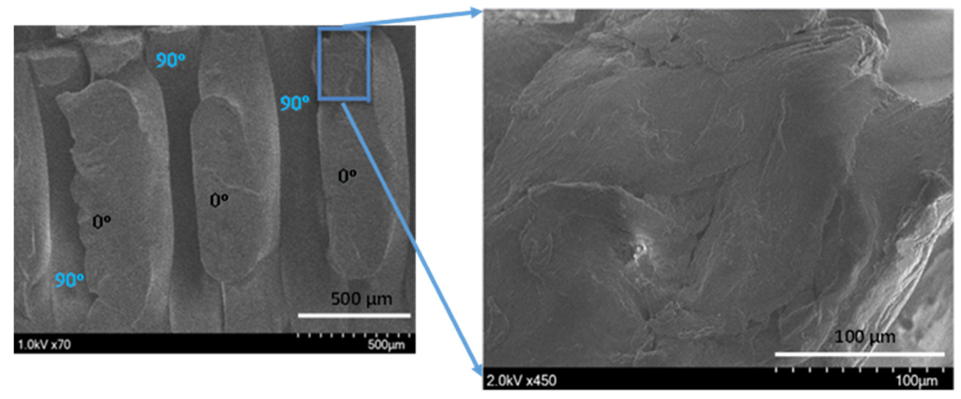 Polymers 14 02484 g012 550