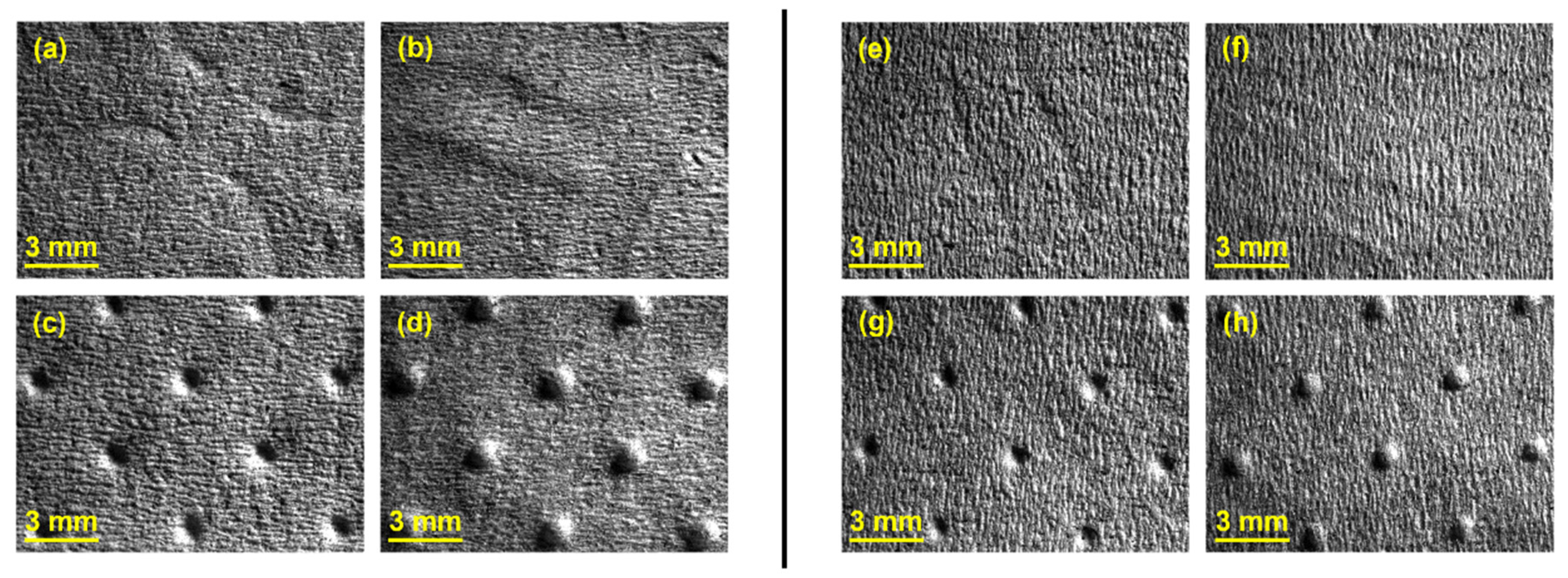 Polymers 14 02485 g010 550