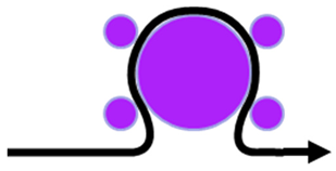 Polymers 14 02485 i005