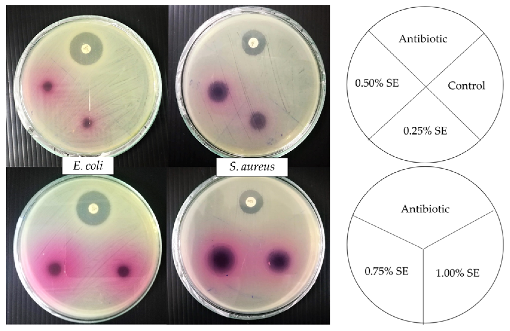 Polymers 14 02487 g003 550