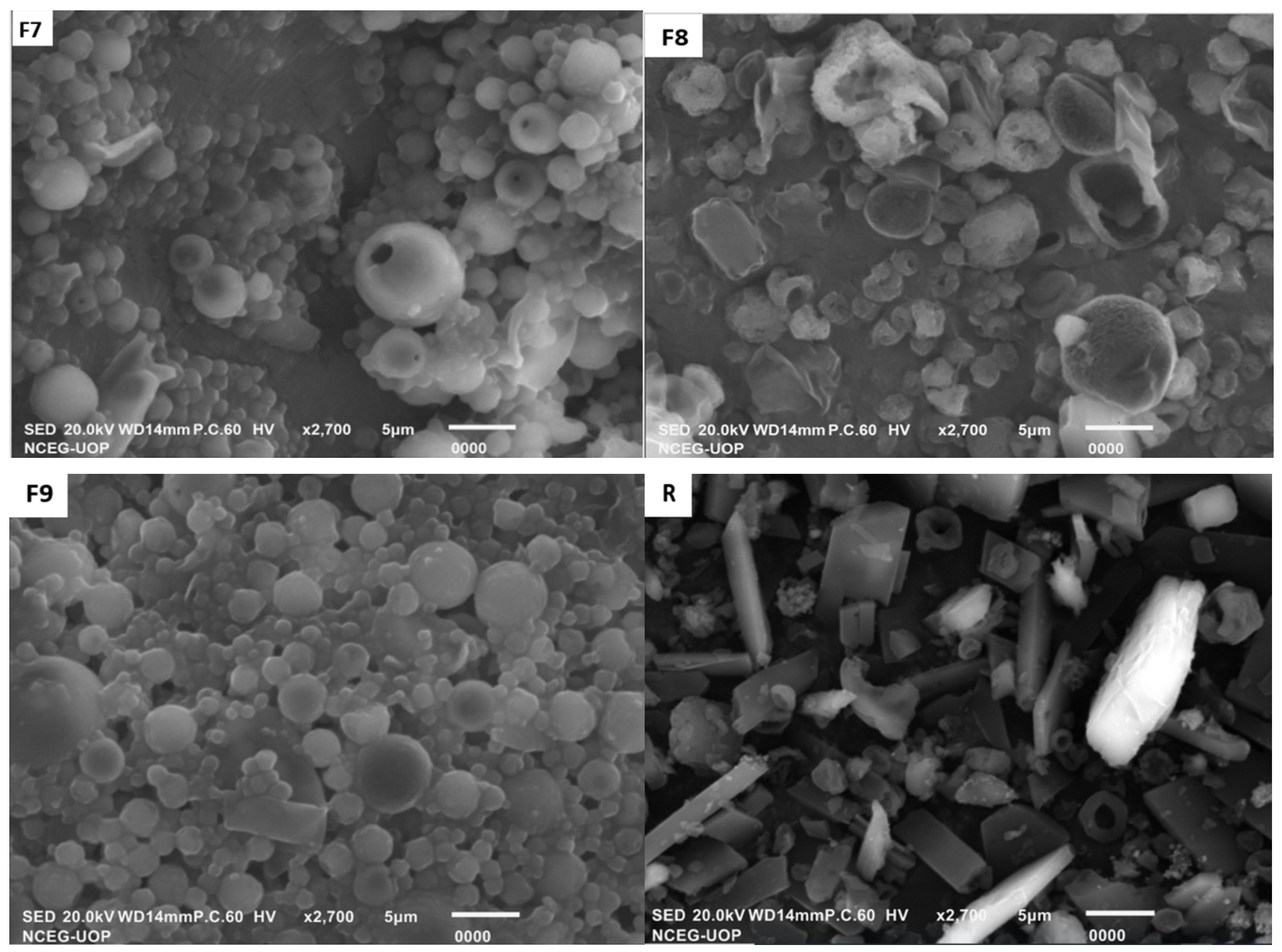 Polymers 14 02491 g001b Polymers 14 02491 g001b