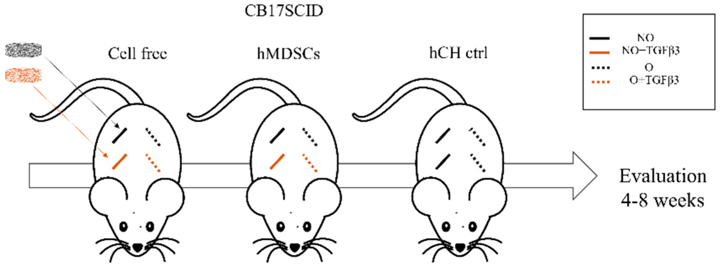 Polymers 14 02498 g001