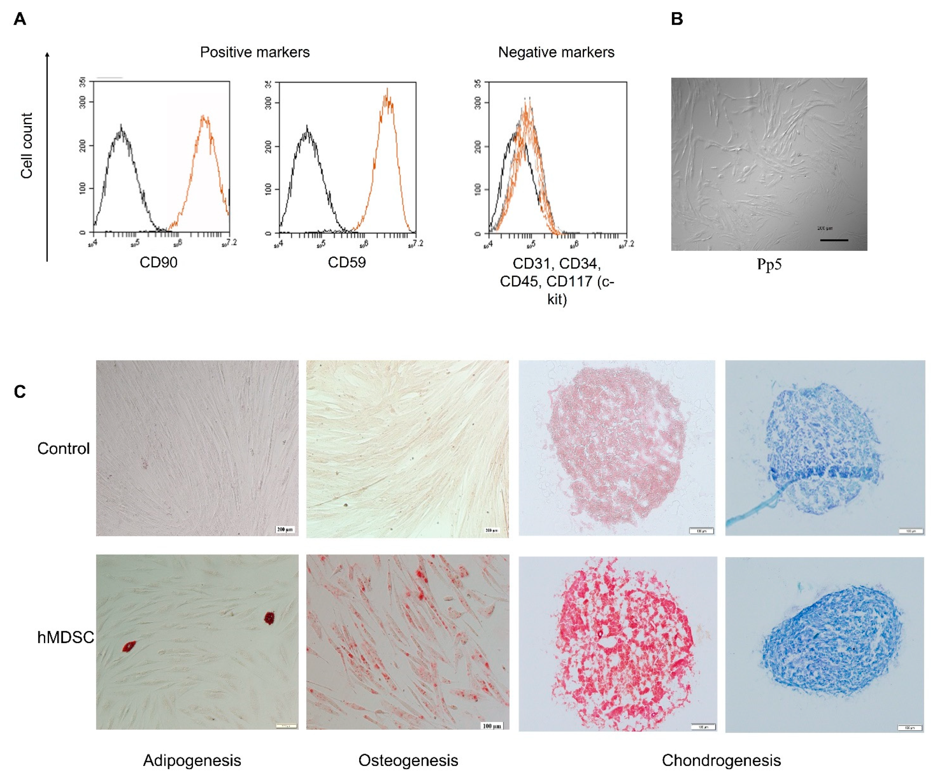 Polymers 14 02498 g003